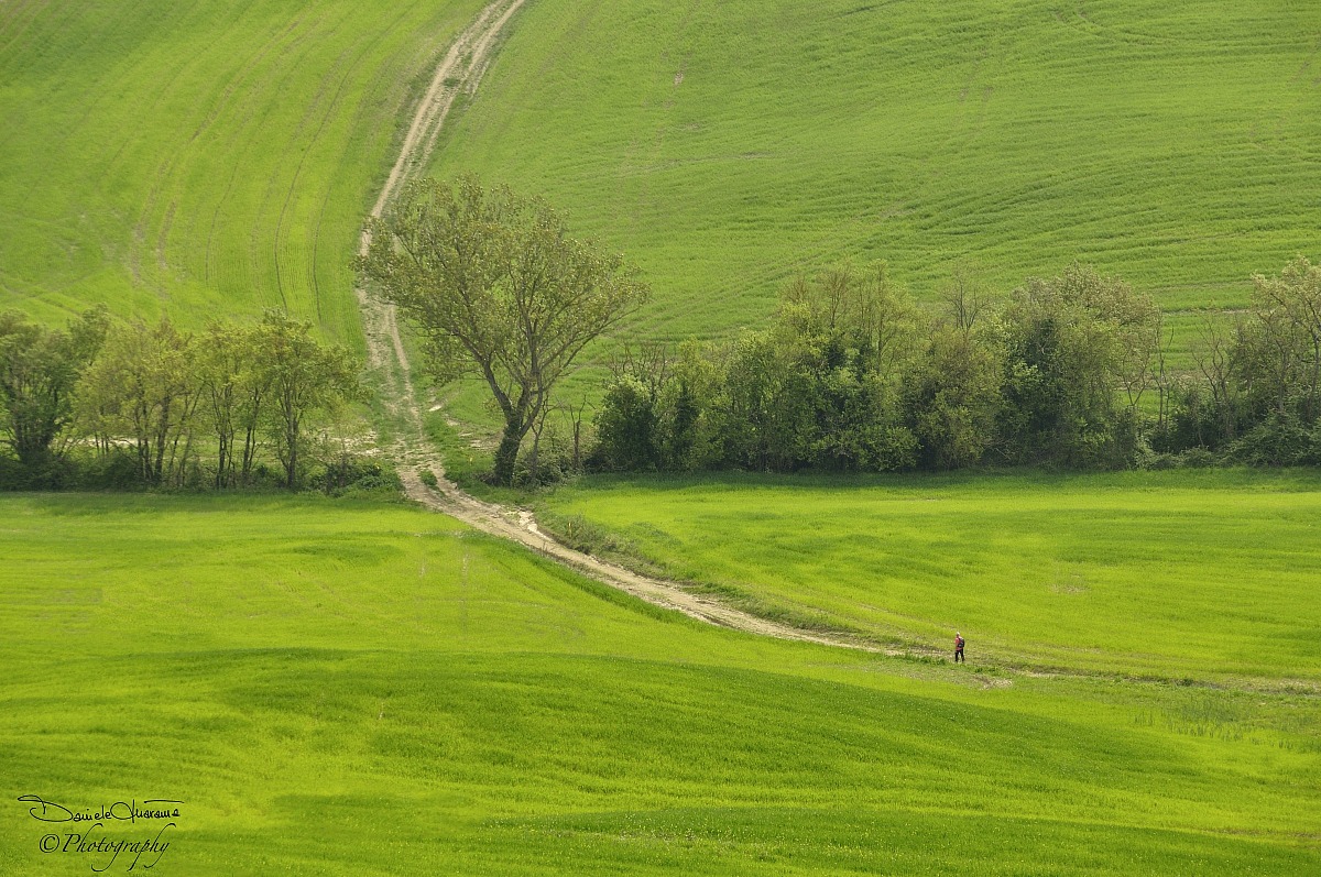 Una leggera passeggiata