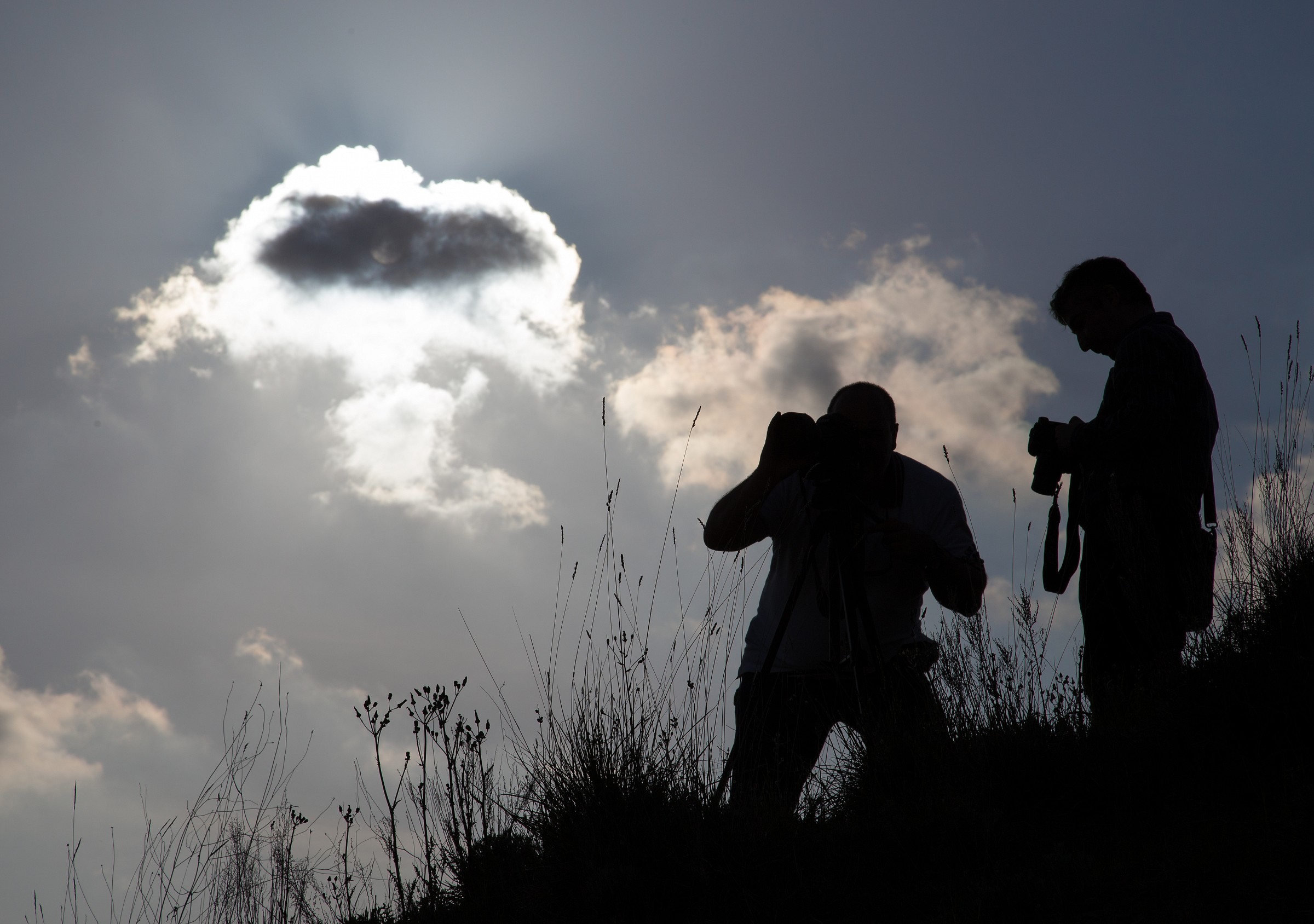 MarioMax and Axel79 backlit