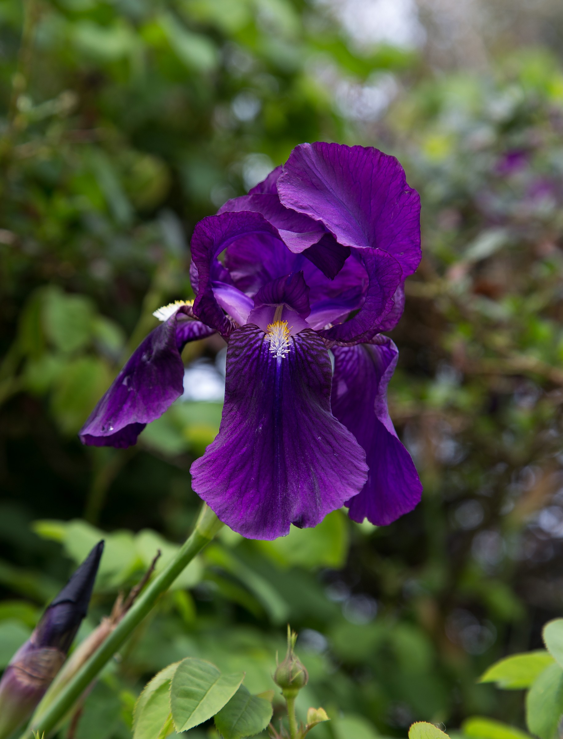 Dedicated to Michael ...