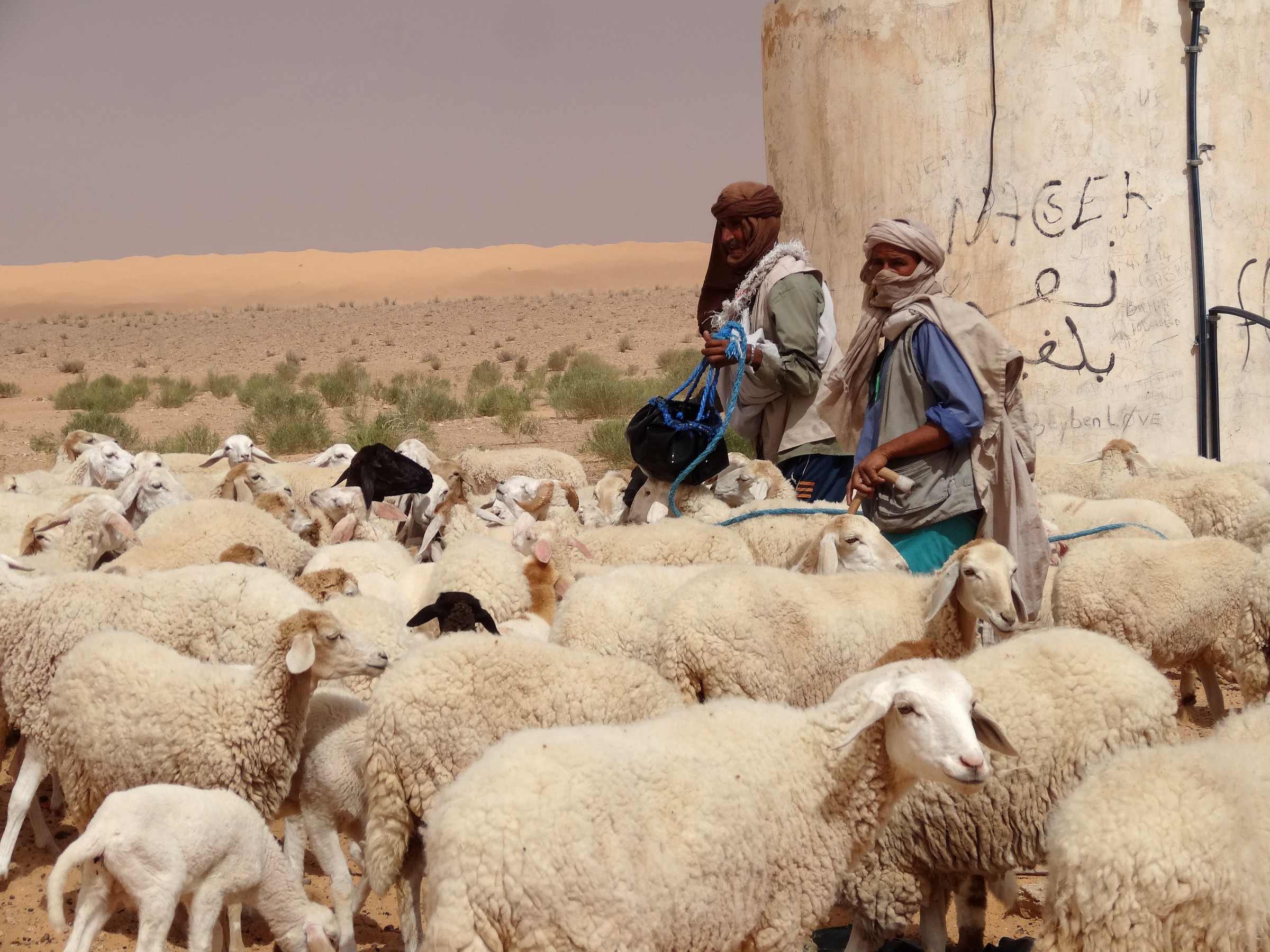 I pastori della sabbia