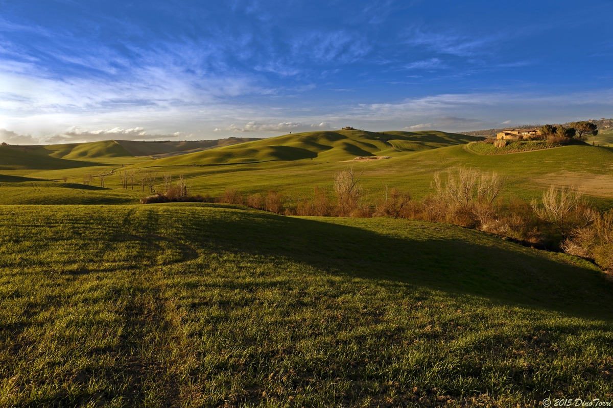 Nasce il pane..in val d'Orcia