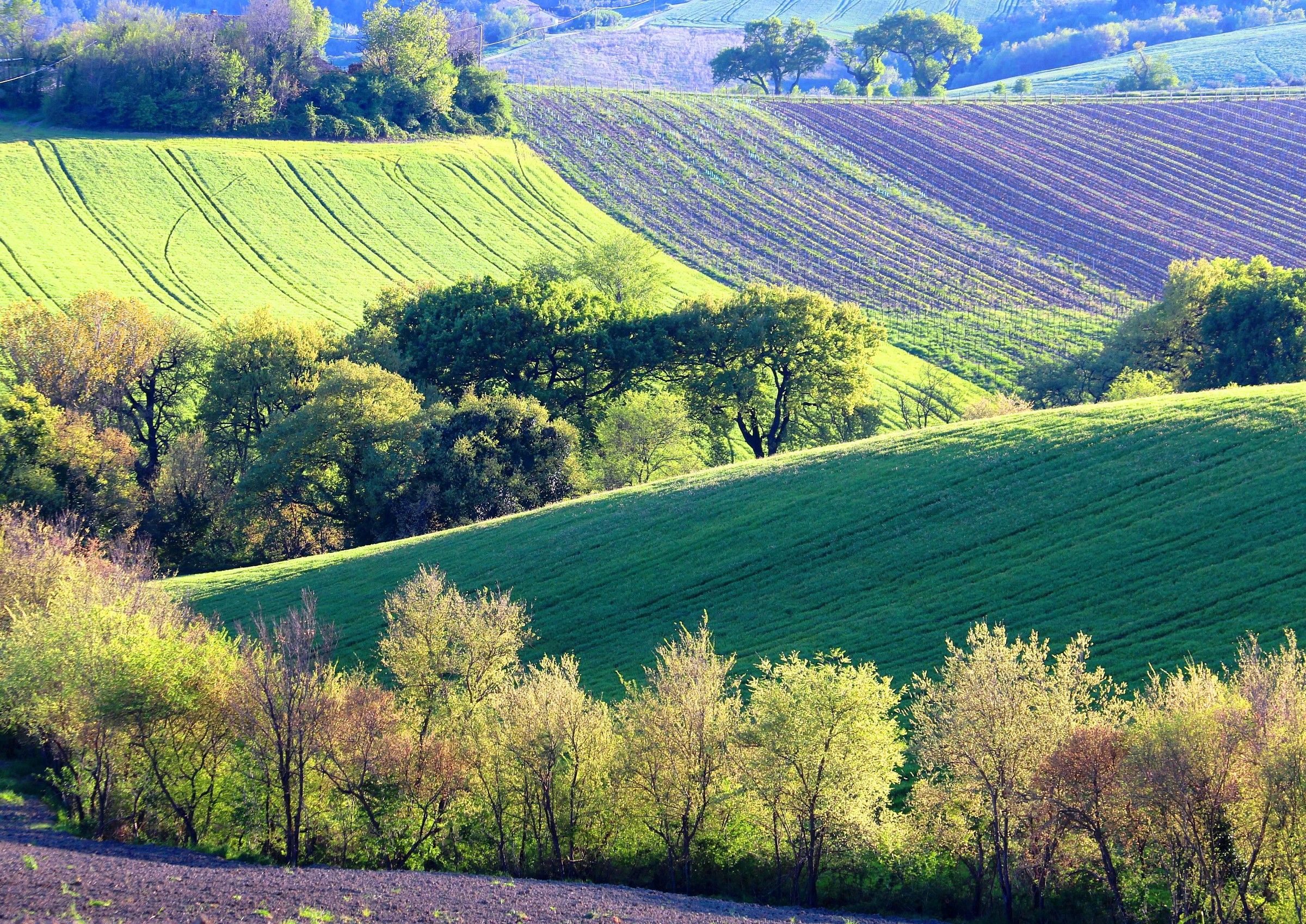 Colors and shapes ...