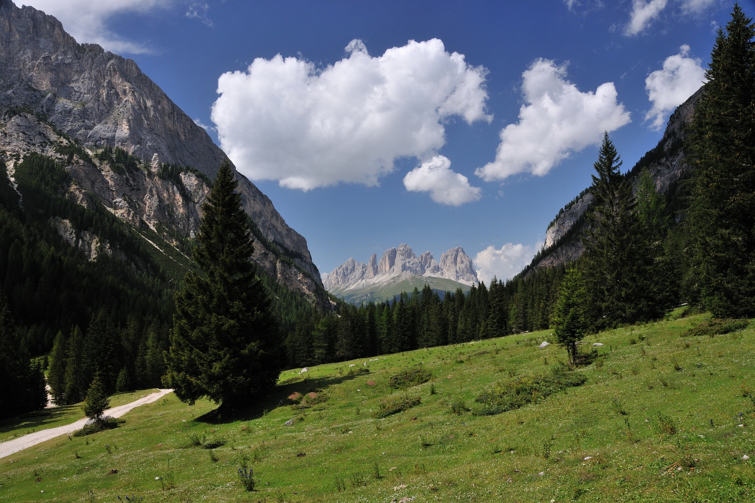 The Sassolungo Group Seen from Val Contrin