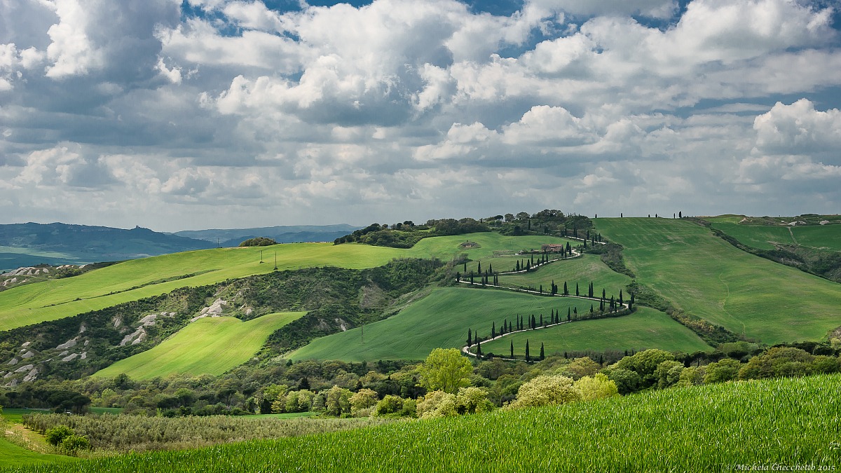 Portrait of the Val d'Orcia