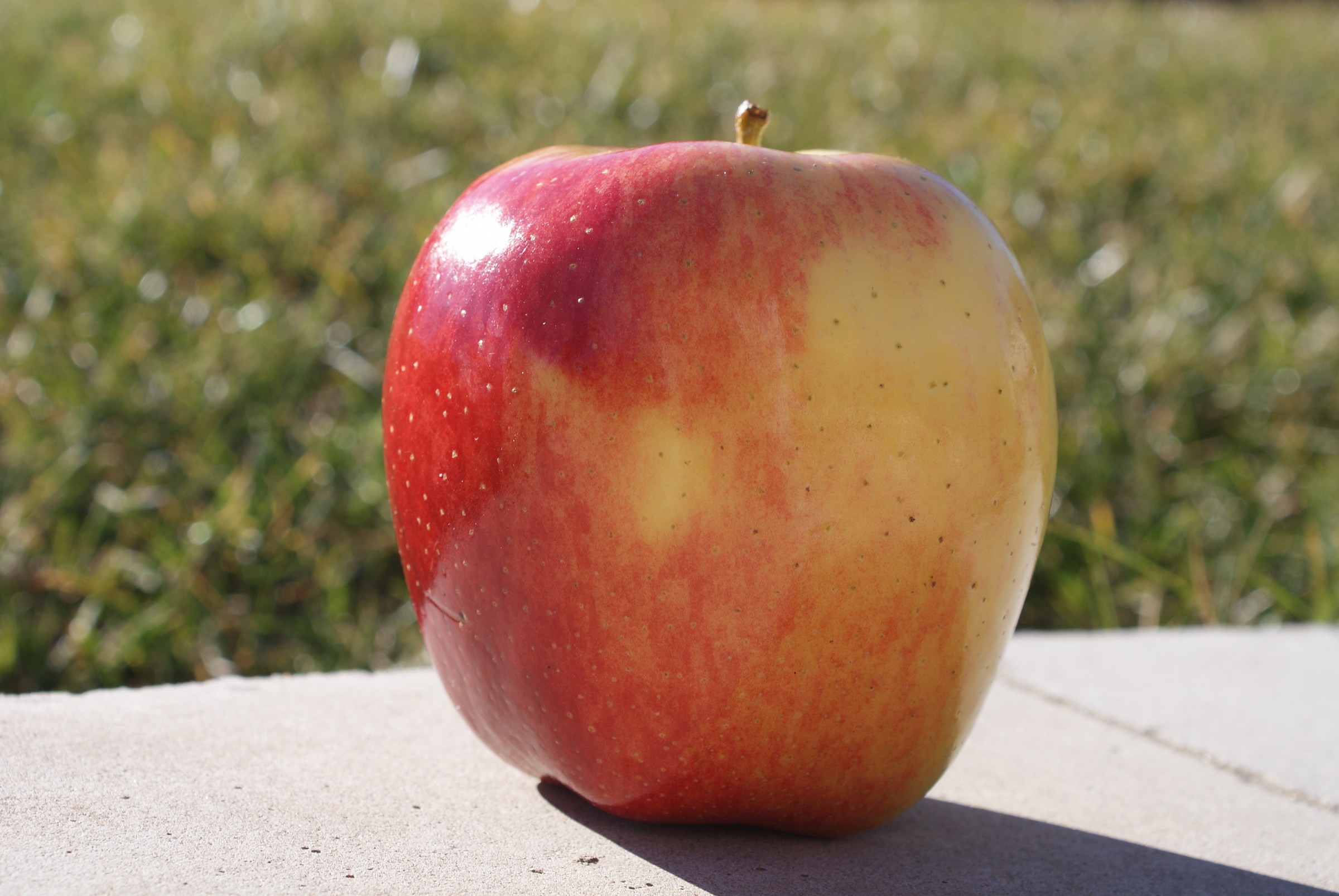 una merenda in fuga!! XD