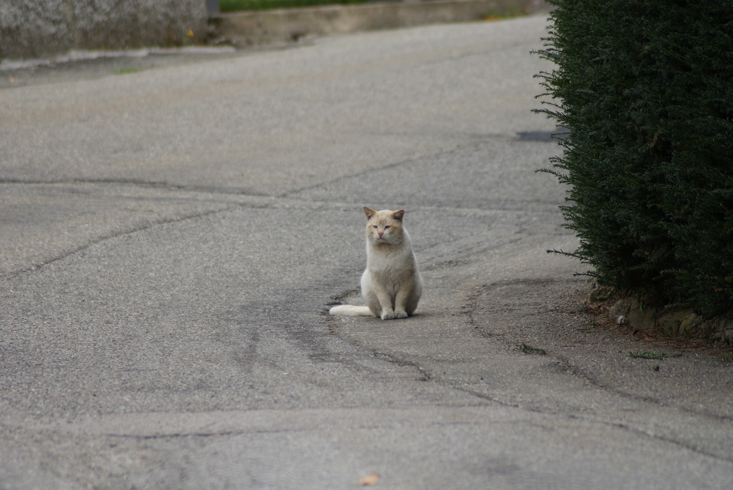 mi siedo, e aspetto un attimo