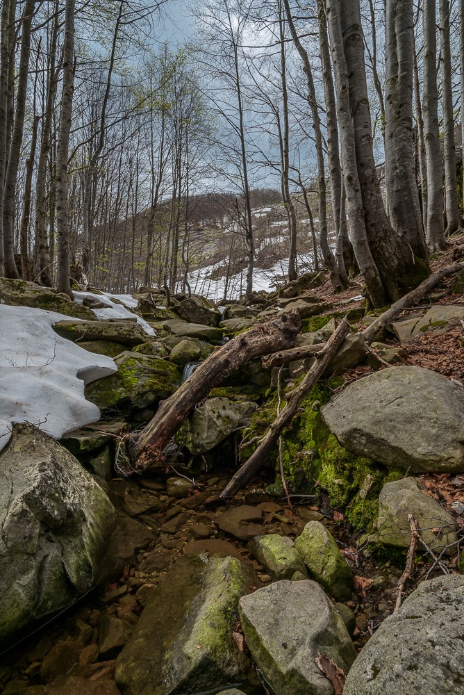 Ruscello di montagna