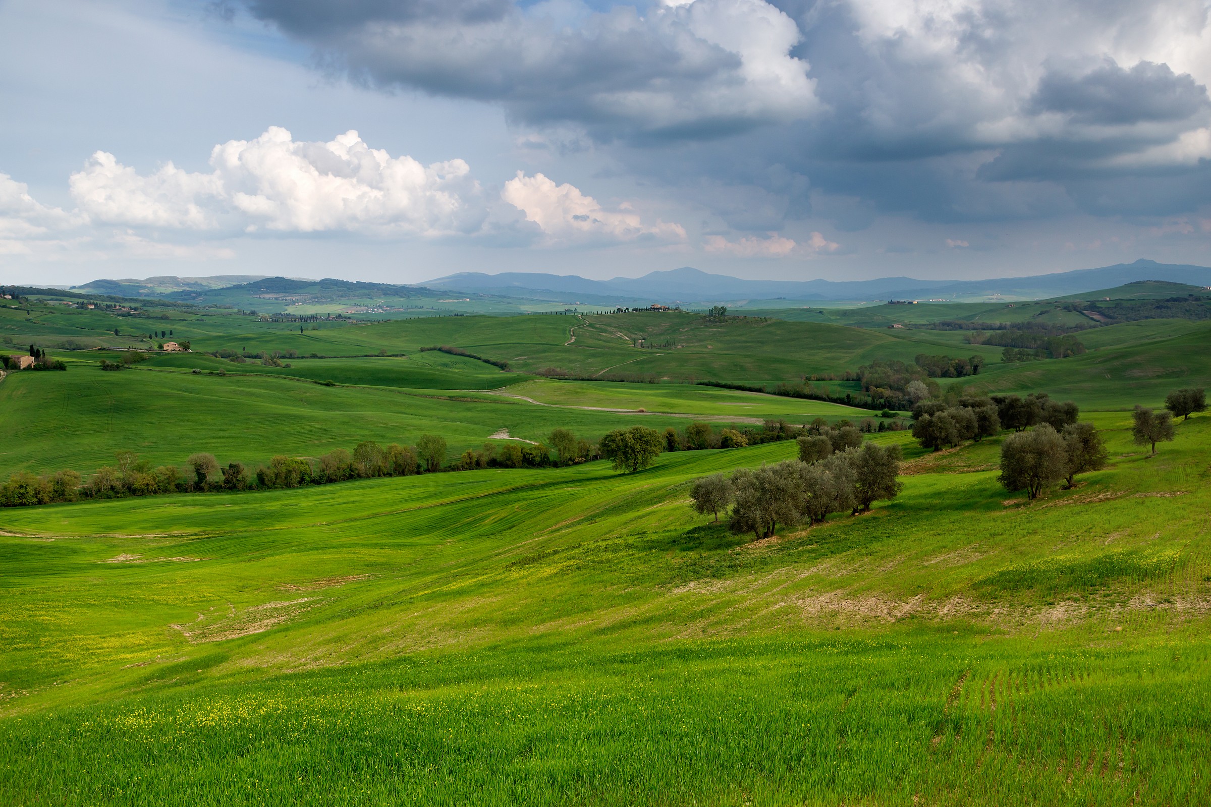 Trademark Val d'Orcia