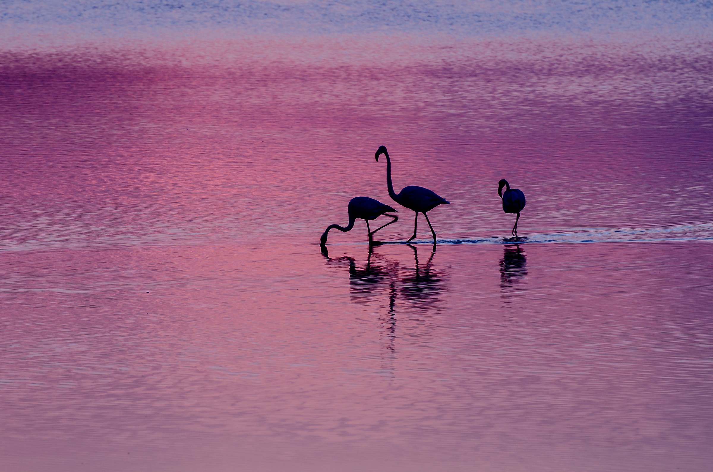 if you chini..poi is a moment ...