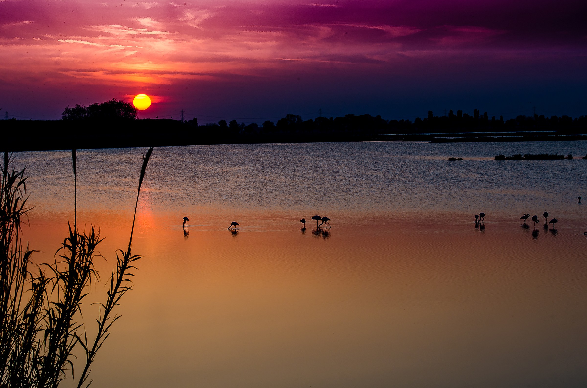 it's a beautiful day