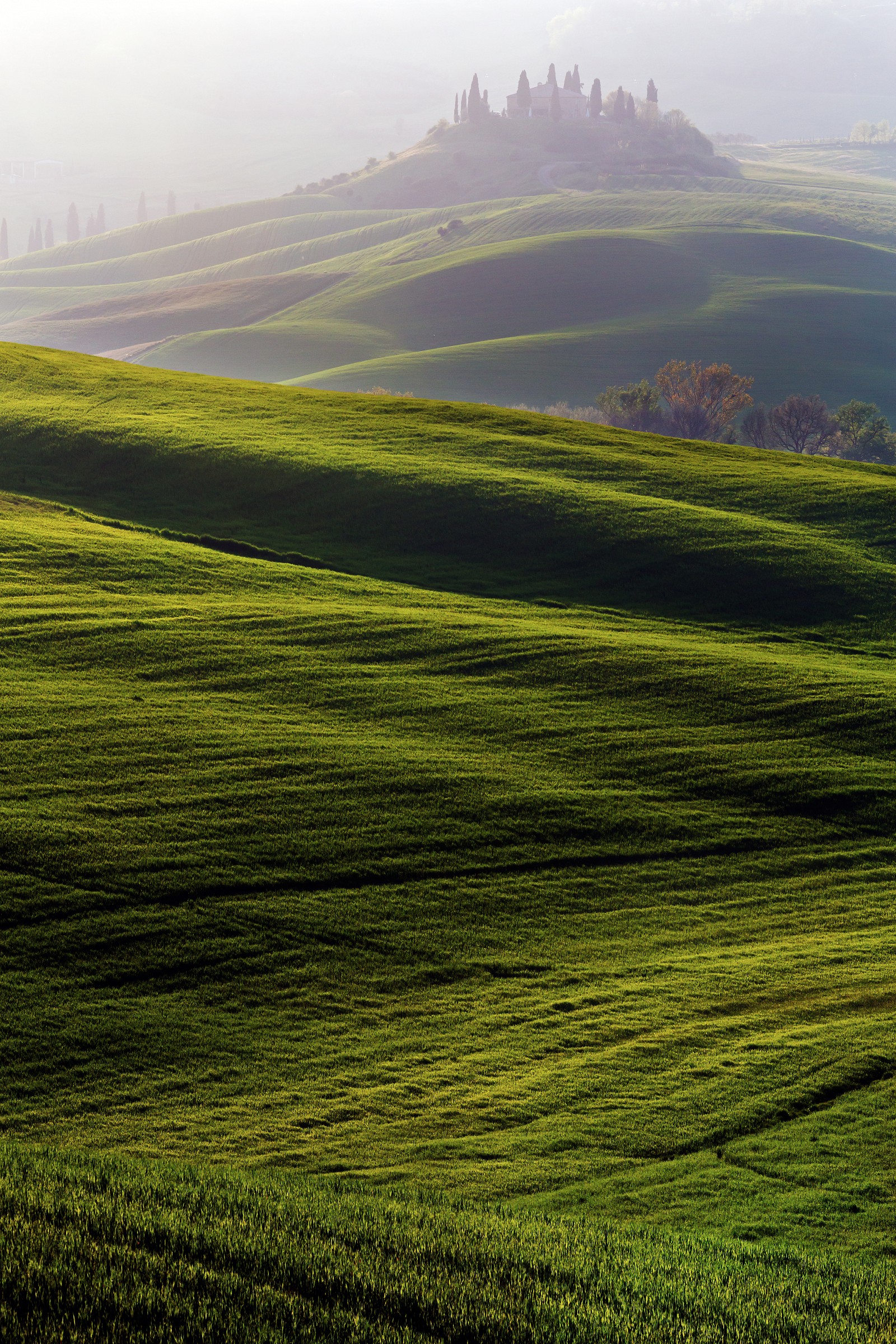 Val d'Orcia doc