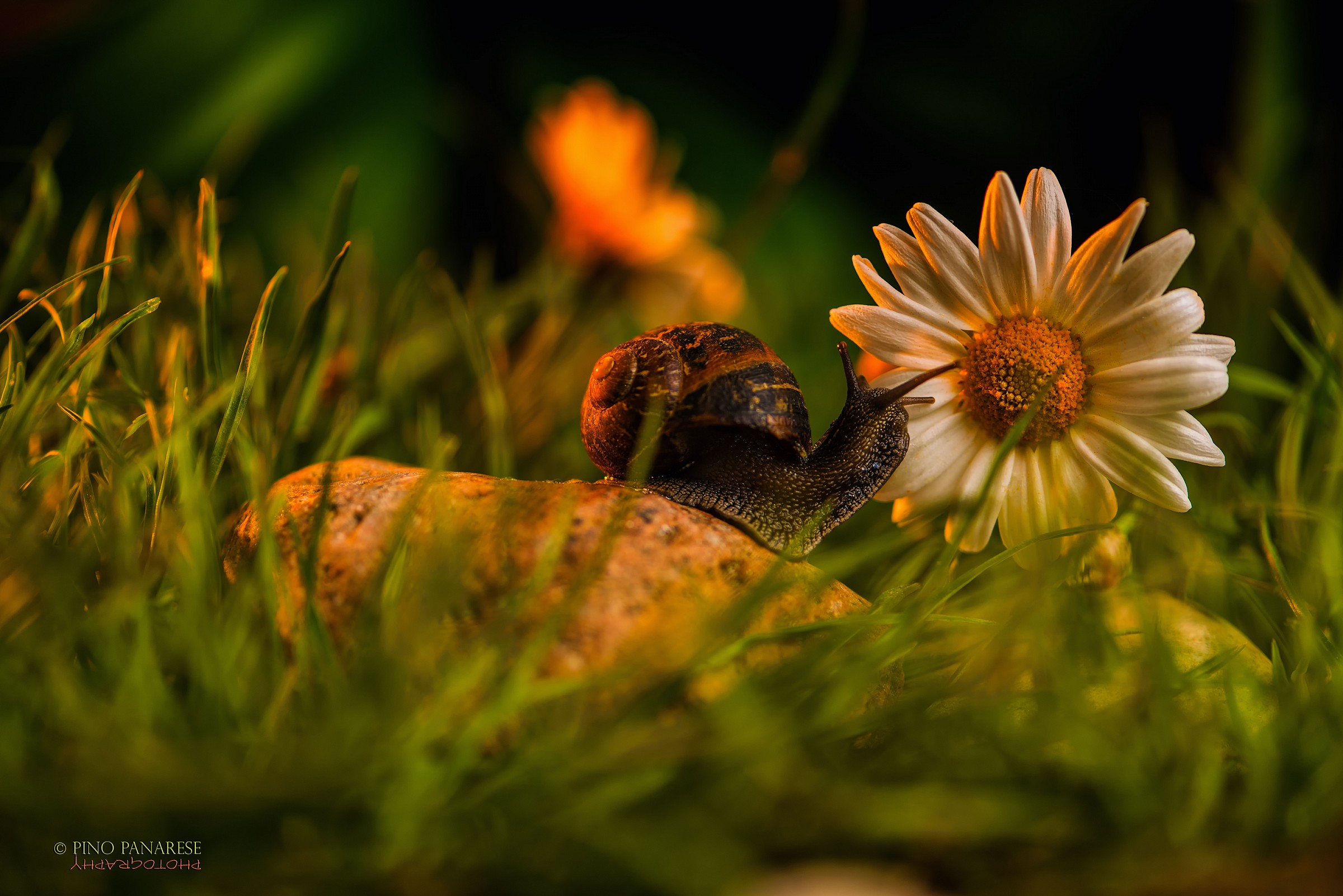 Sono arrivato tardi all'appuntamento?