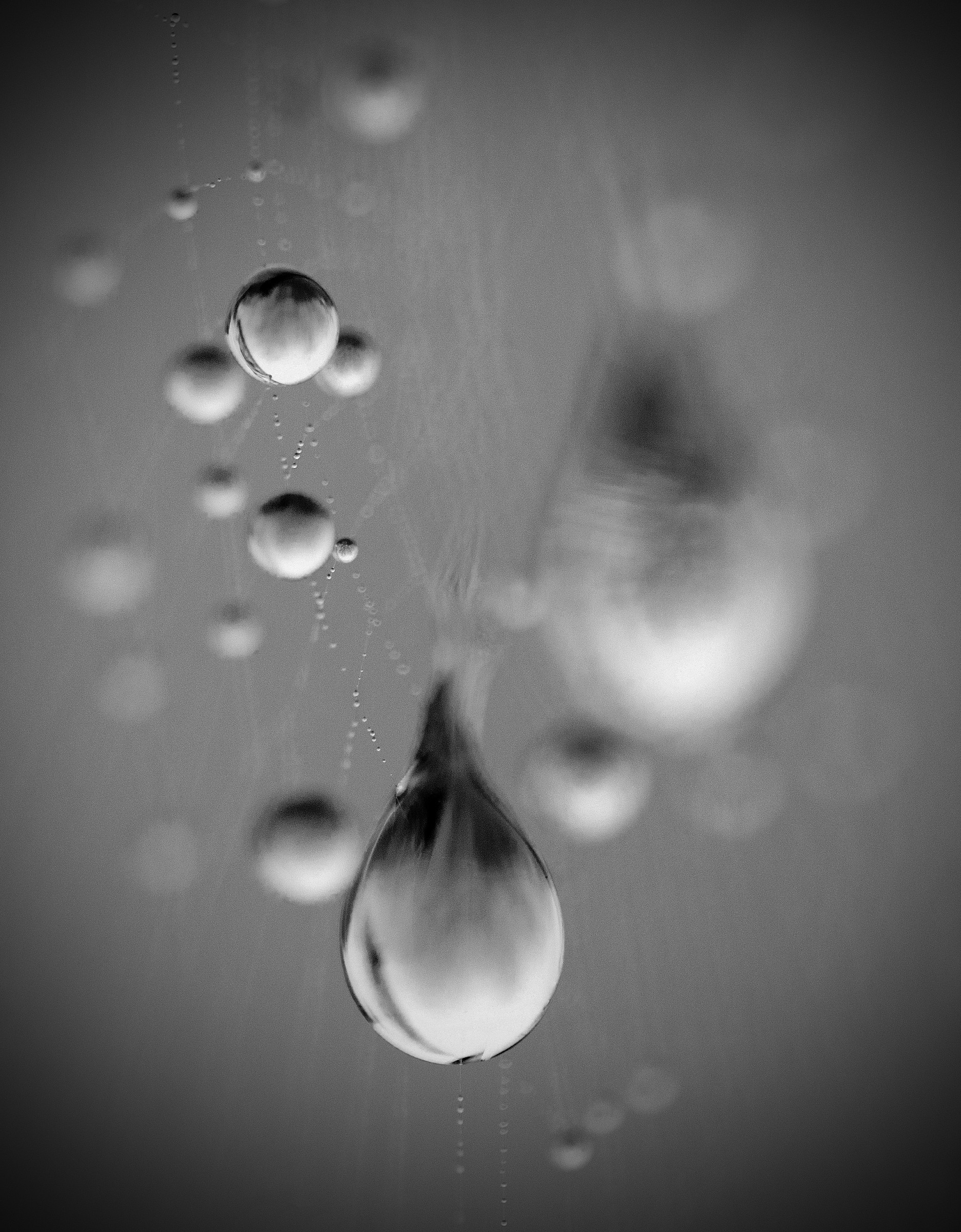 Raindrops