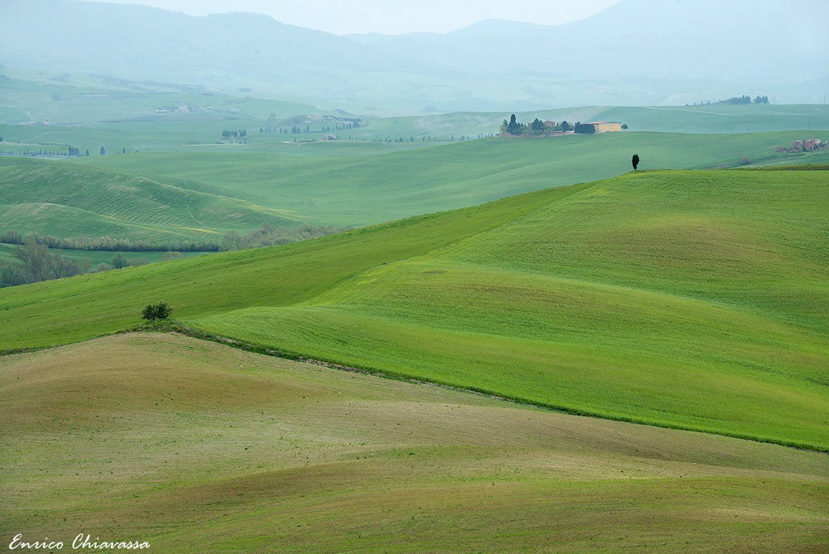 Dolci pendii d'Orcia