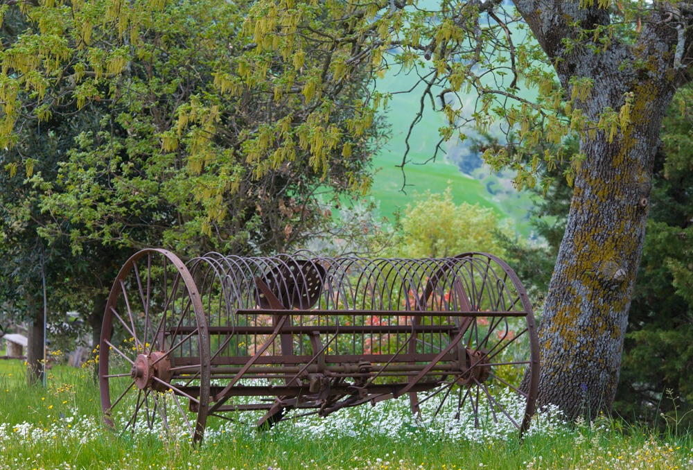 The well-earned rest