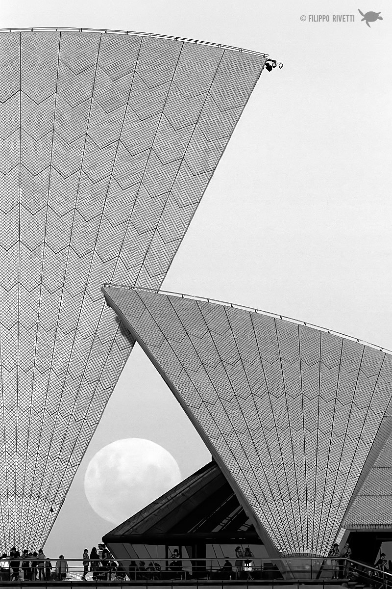 Between the Sails ::