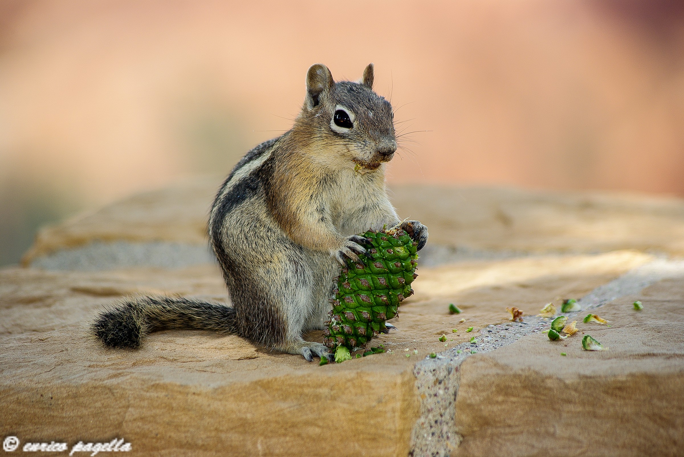 Now I take off the fane