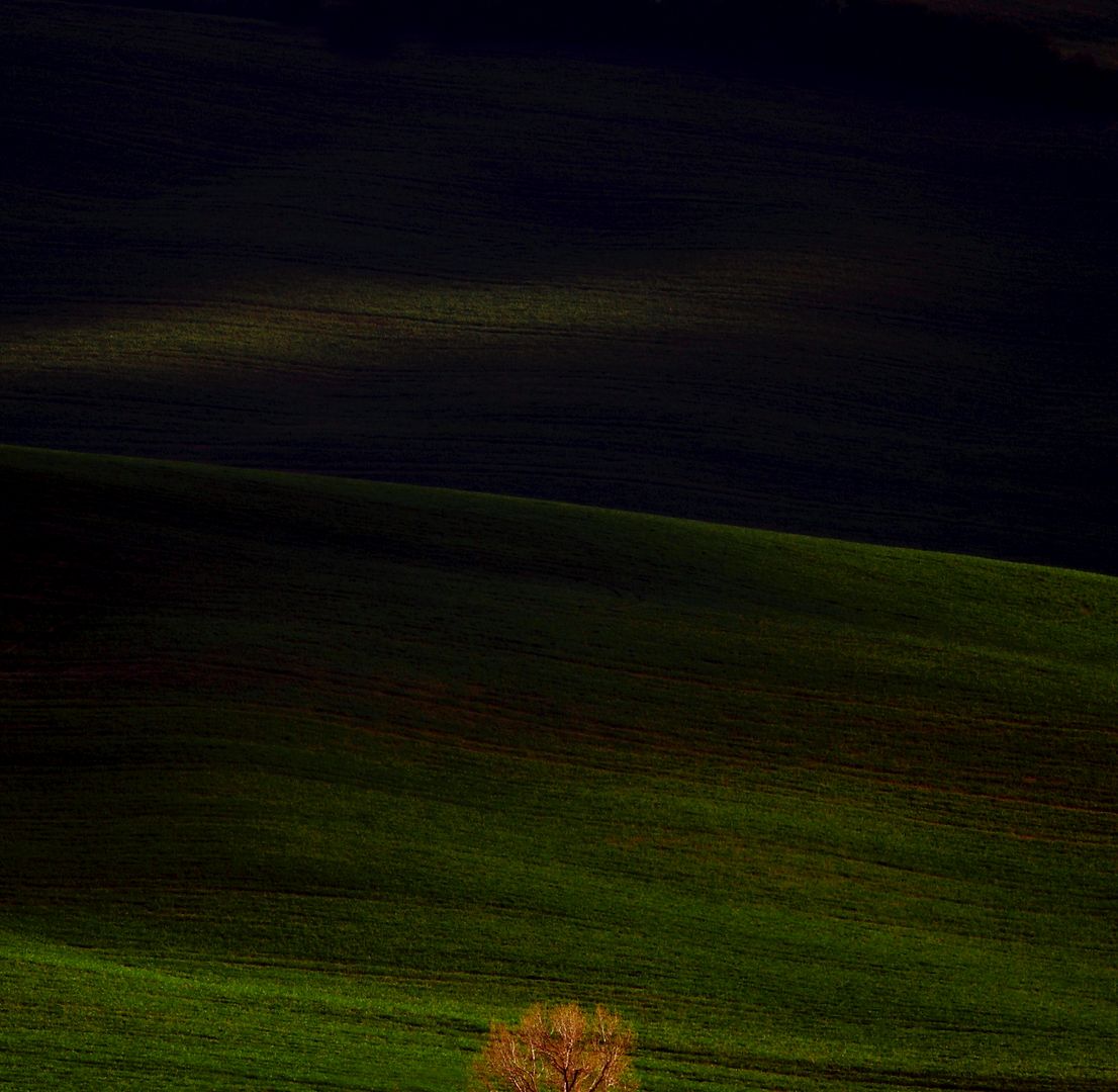 Val D'Orcia 2015