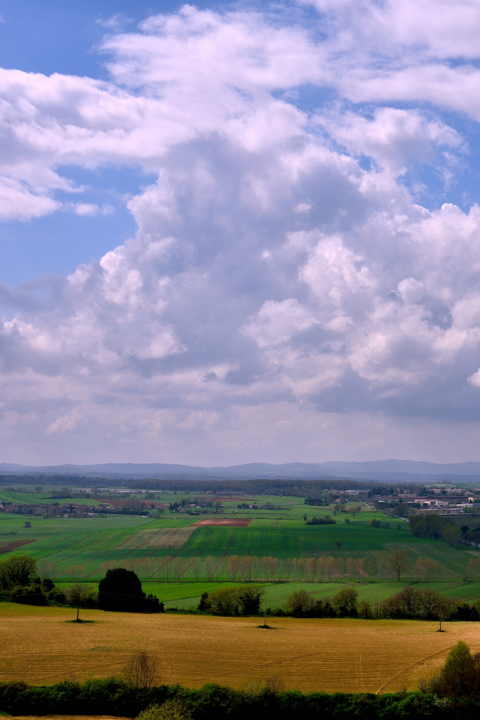 view from Monteriggioni 2