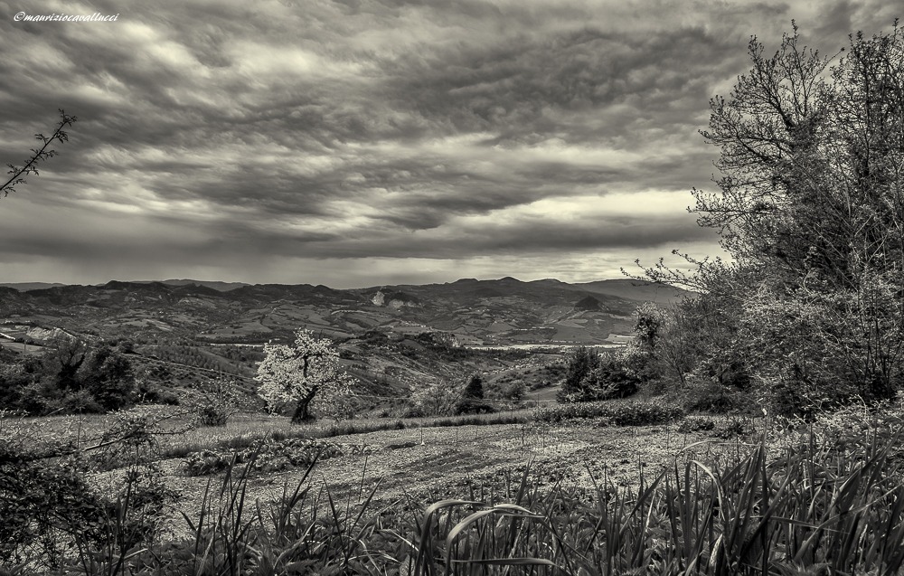 ... If we do not walk ... we will not get ... never ...