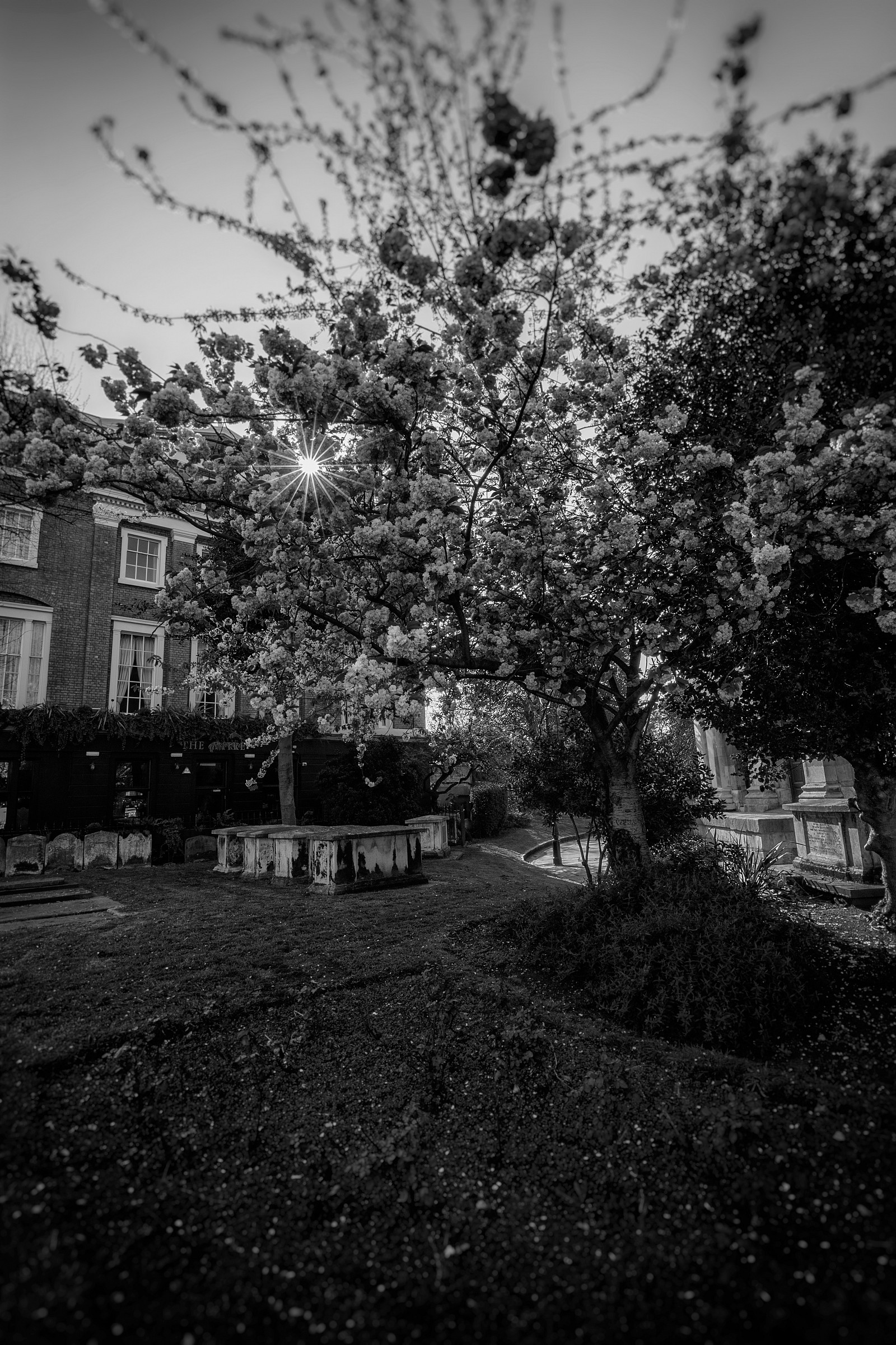 The graveyard near Greenwich DRL Station