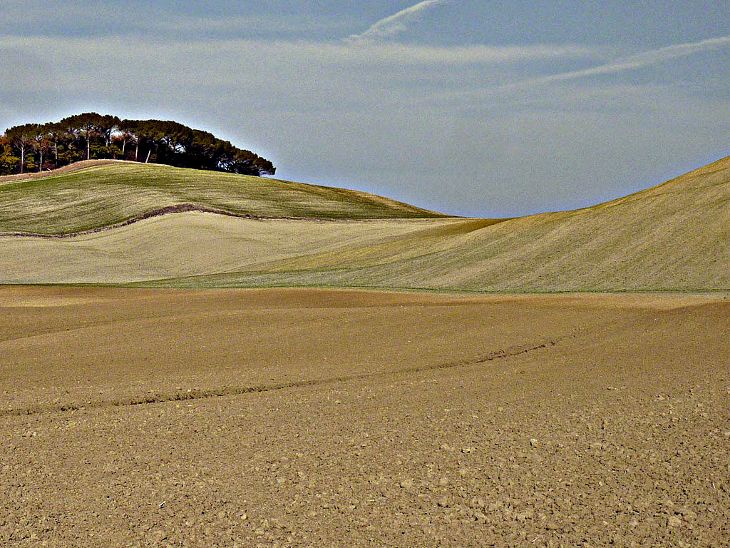 Crete Senesi