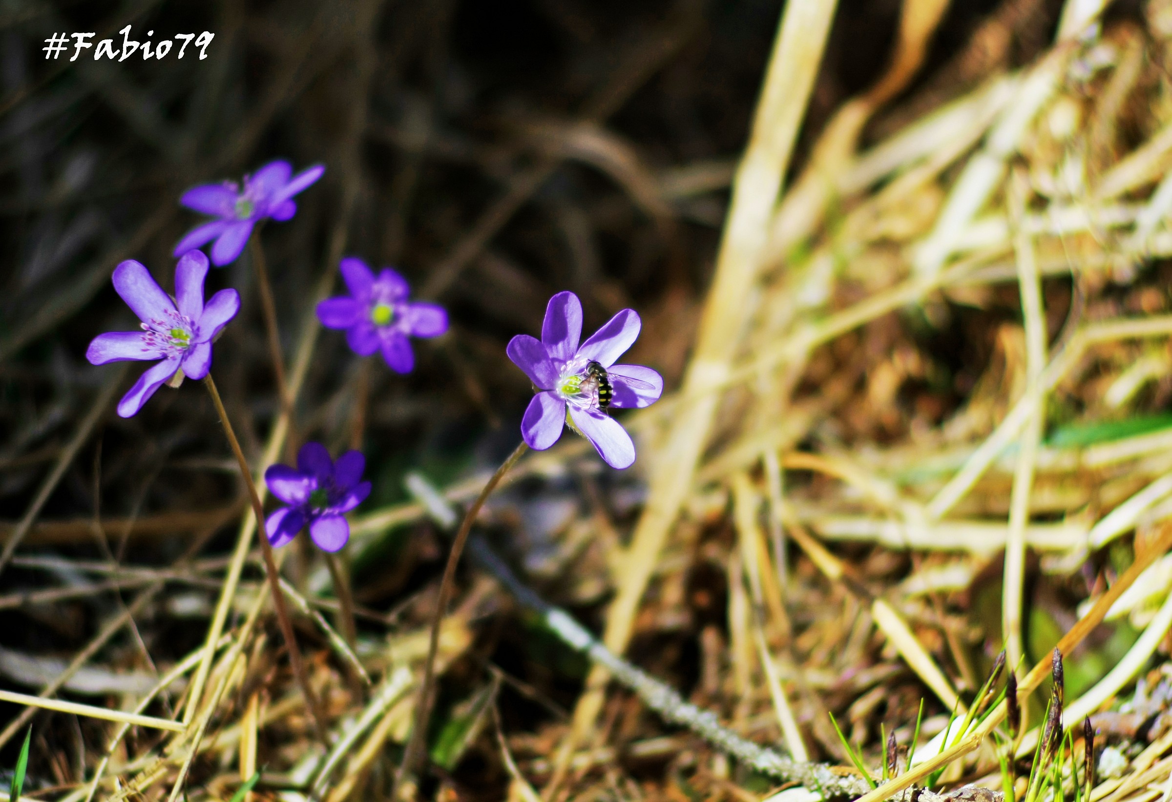 when hunger advances