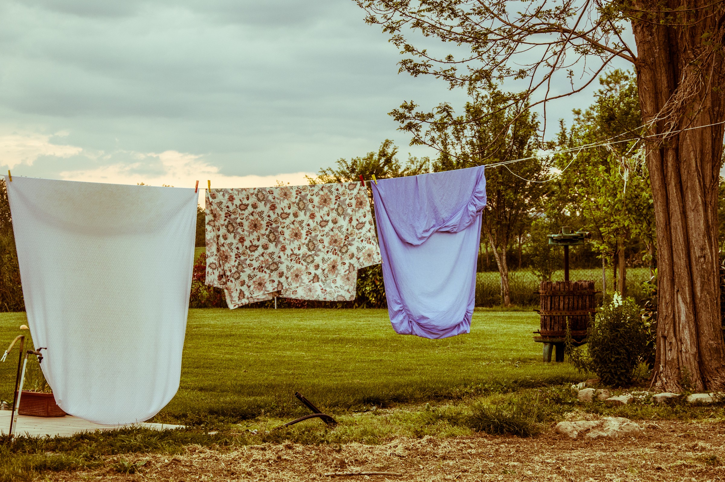 The smell of laundry