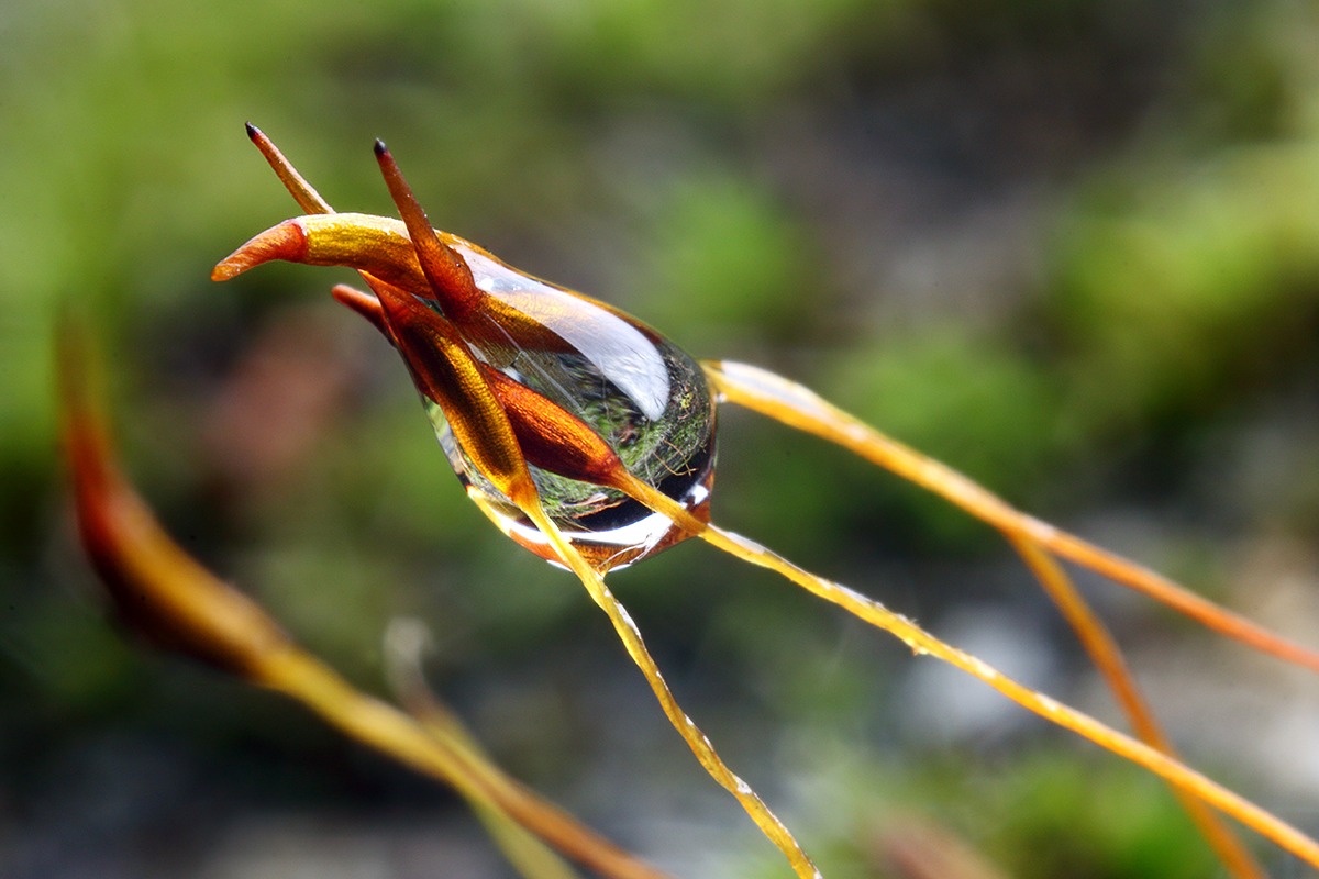 C'è tutto un mondo intorno