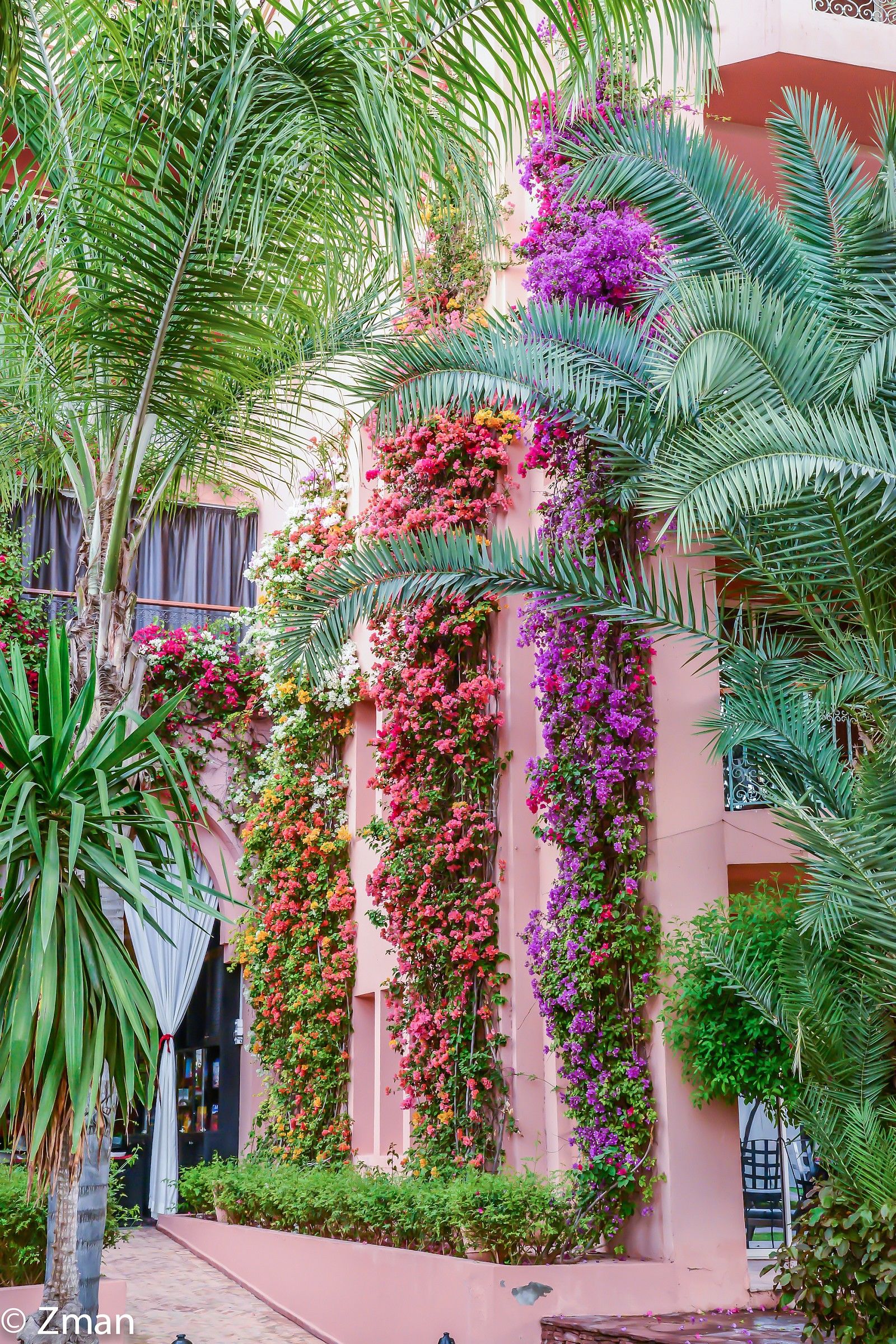 Tipico marocchino Giardino