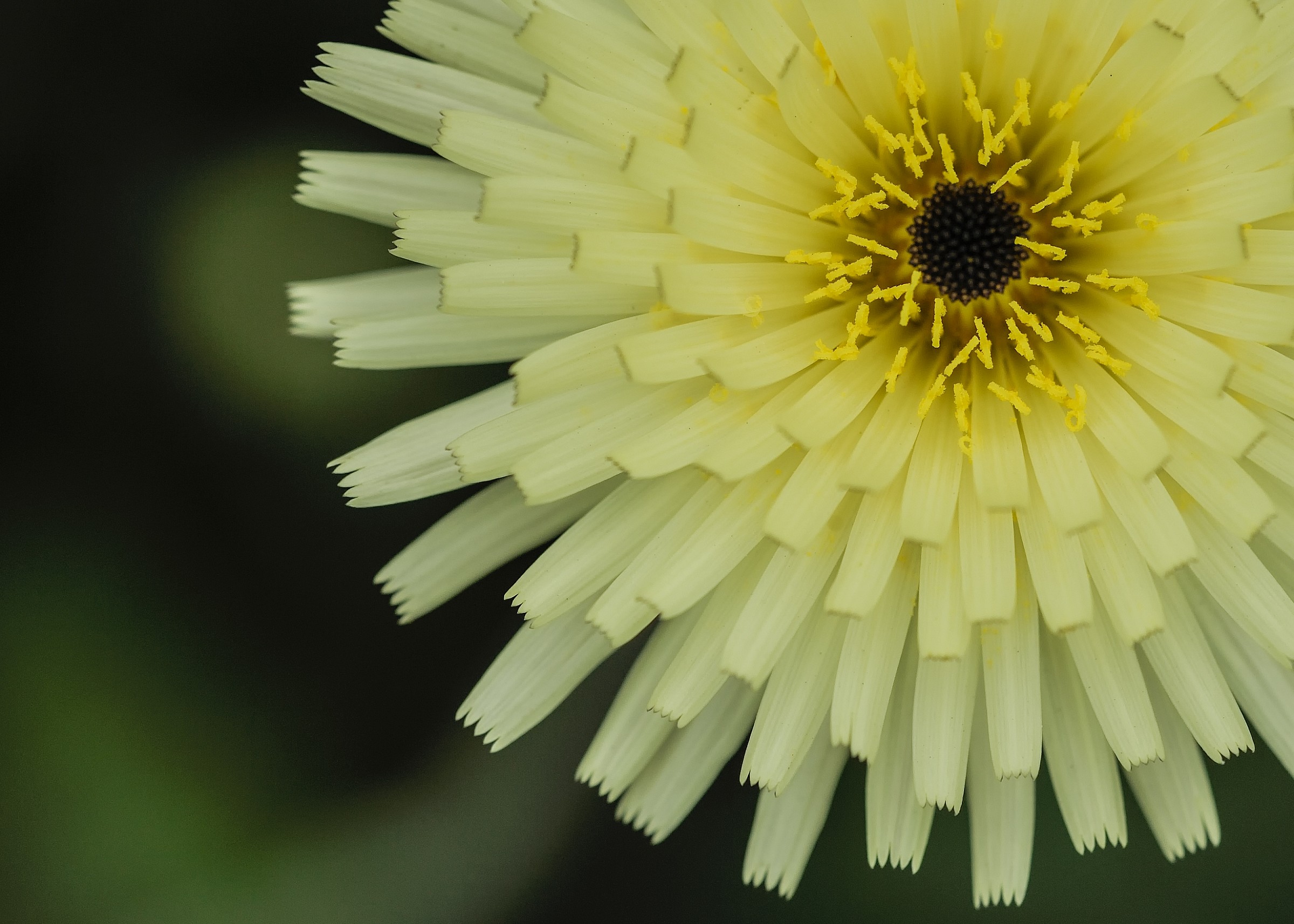 Geometrie di primavera