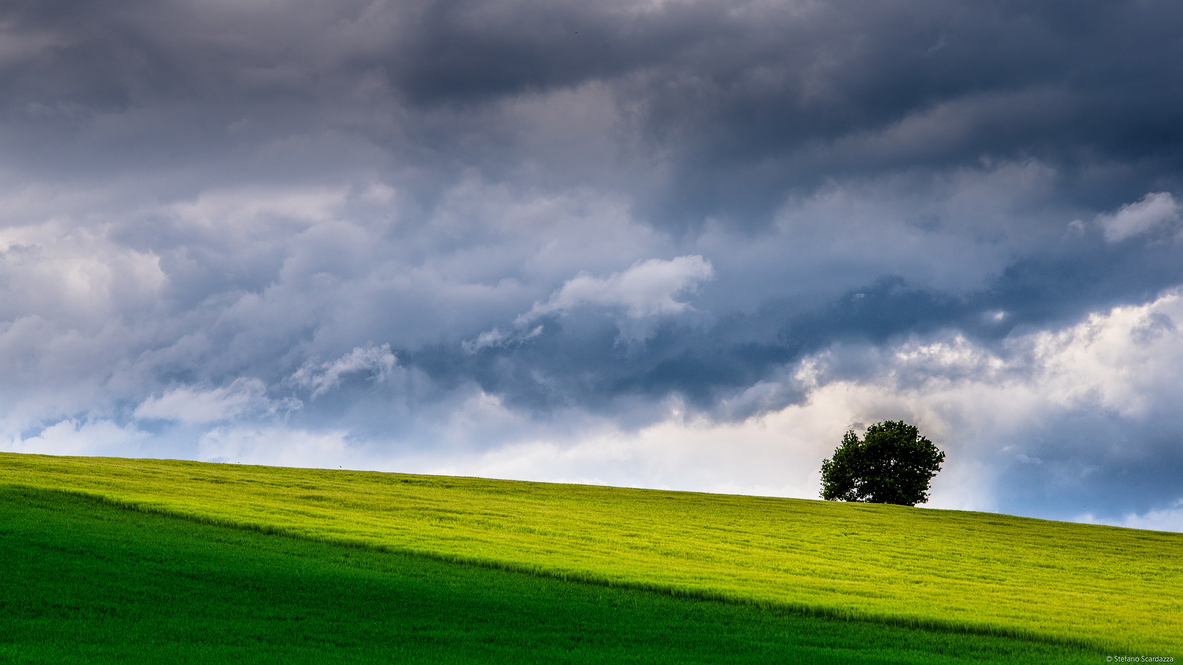corn and clouds ...