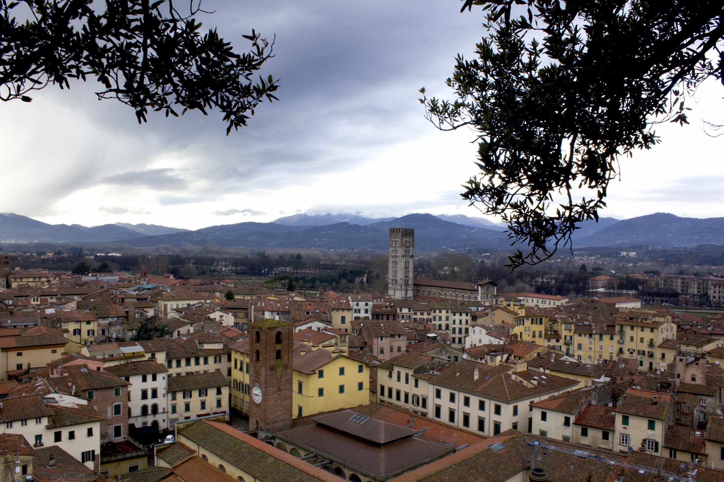 Dall'alto dell torre Giunigi
