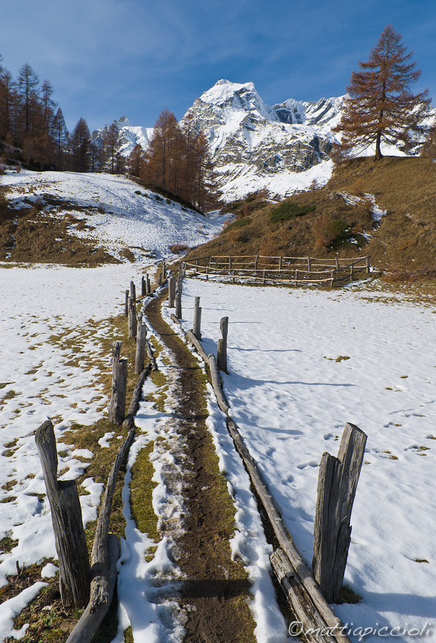 Gaze toward the peak