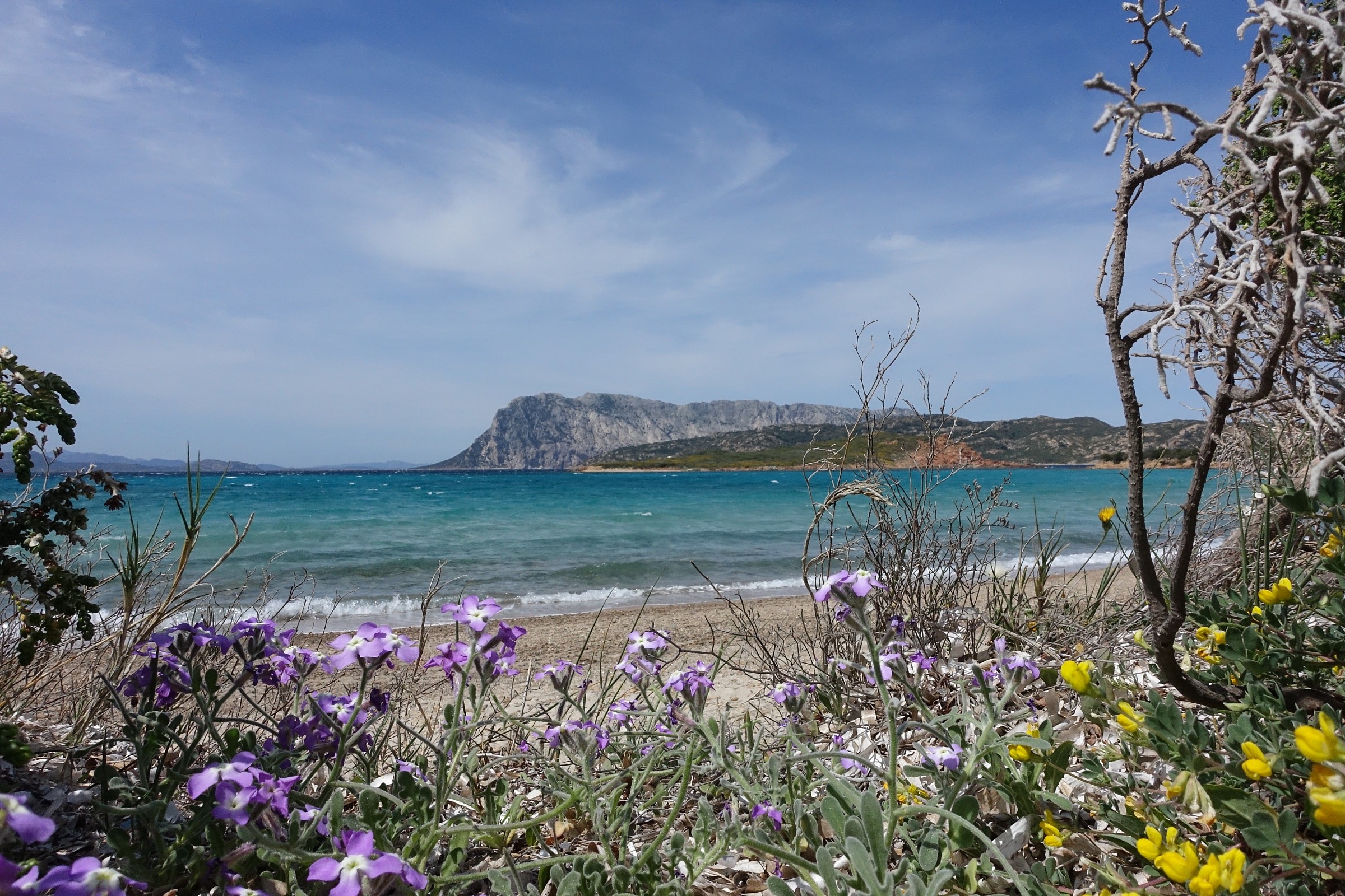 Sardinia, the island of Tavolara