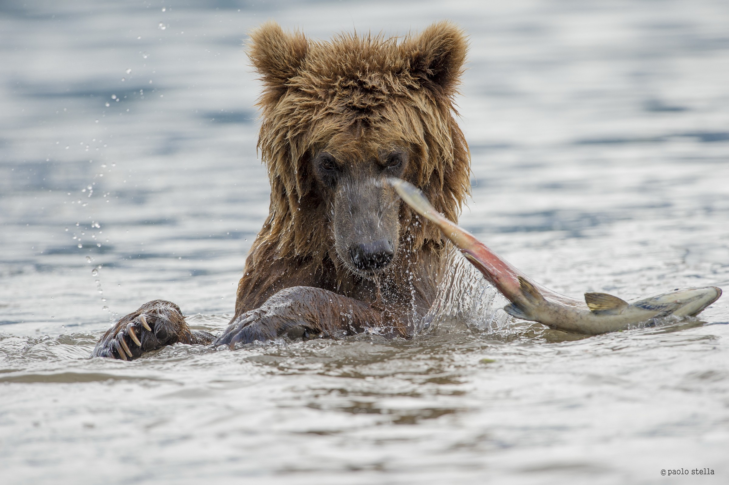 where are you going!