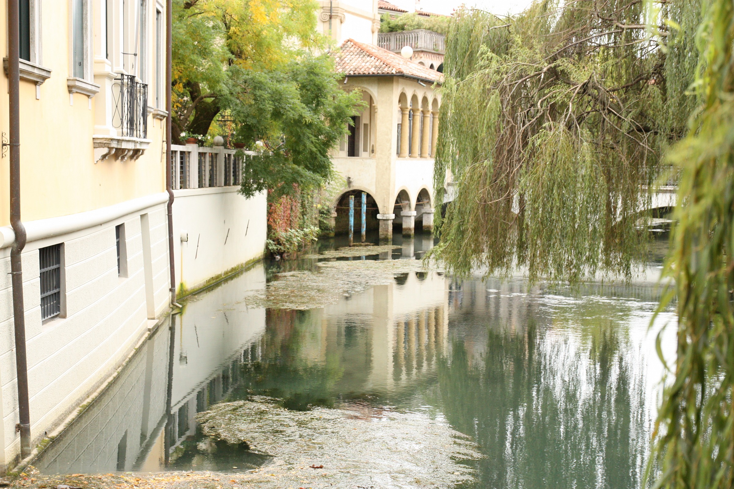 Il Giardino della Serenssima