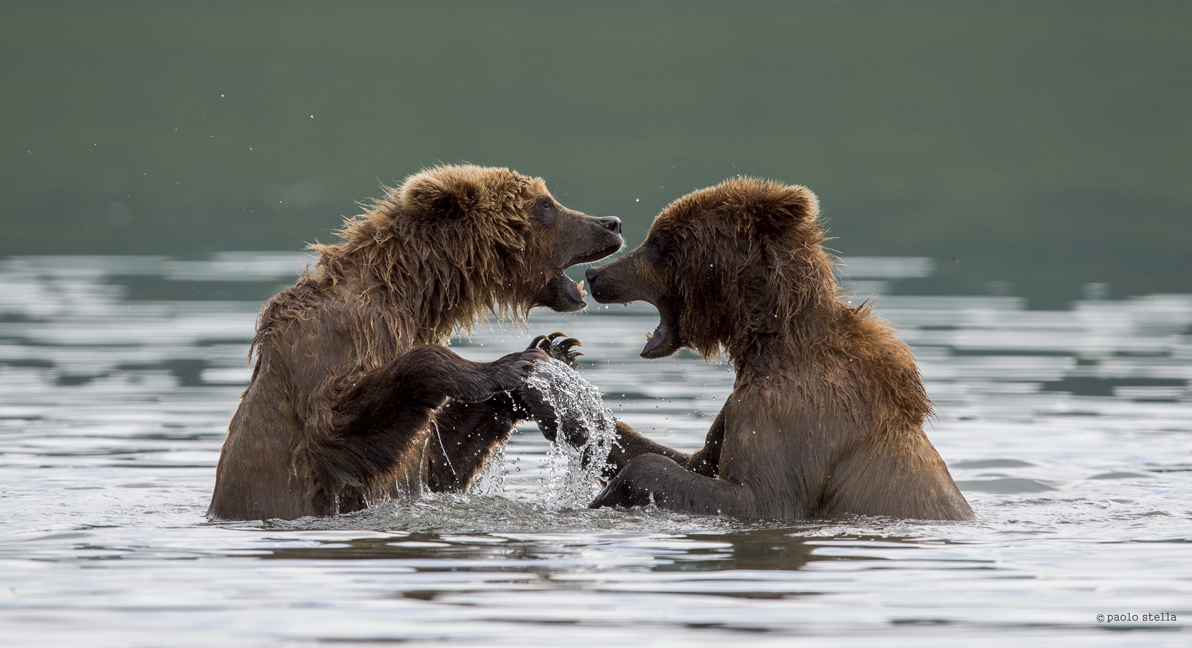 discussione animata....