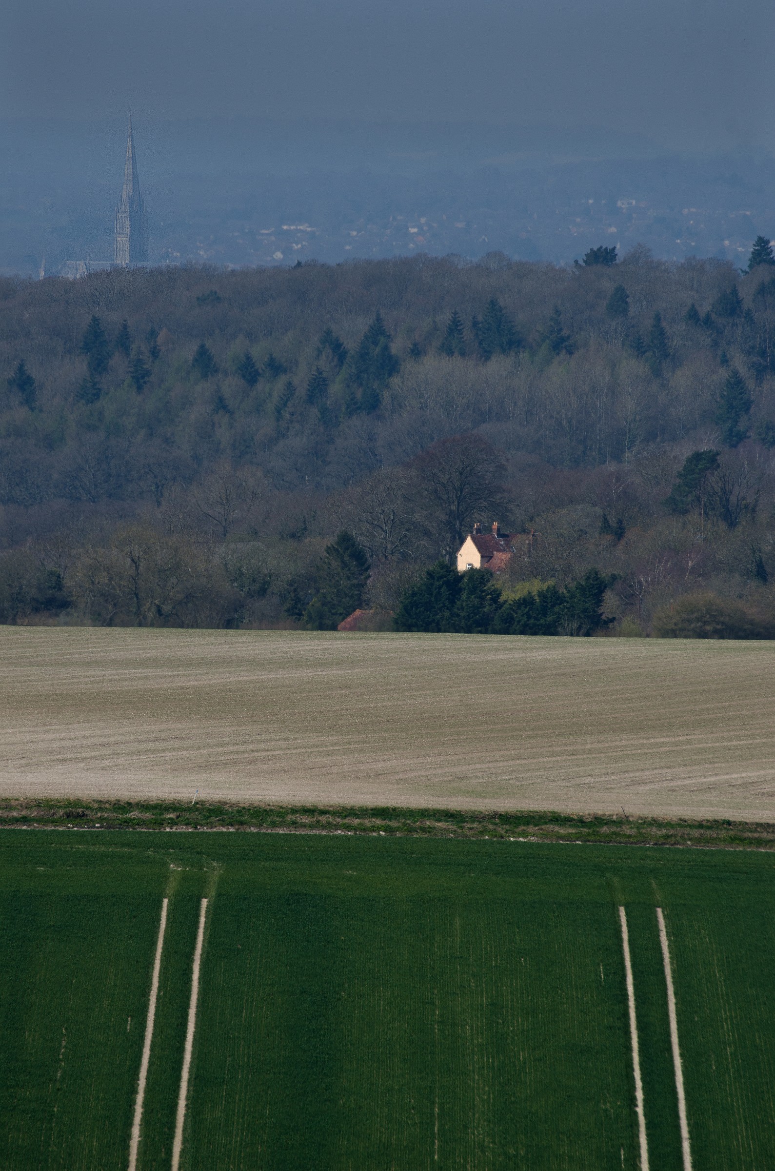 Spire nei campi e nei boschi