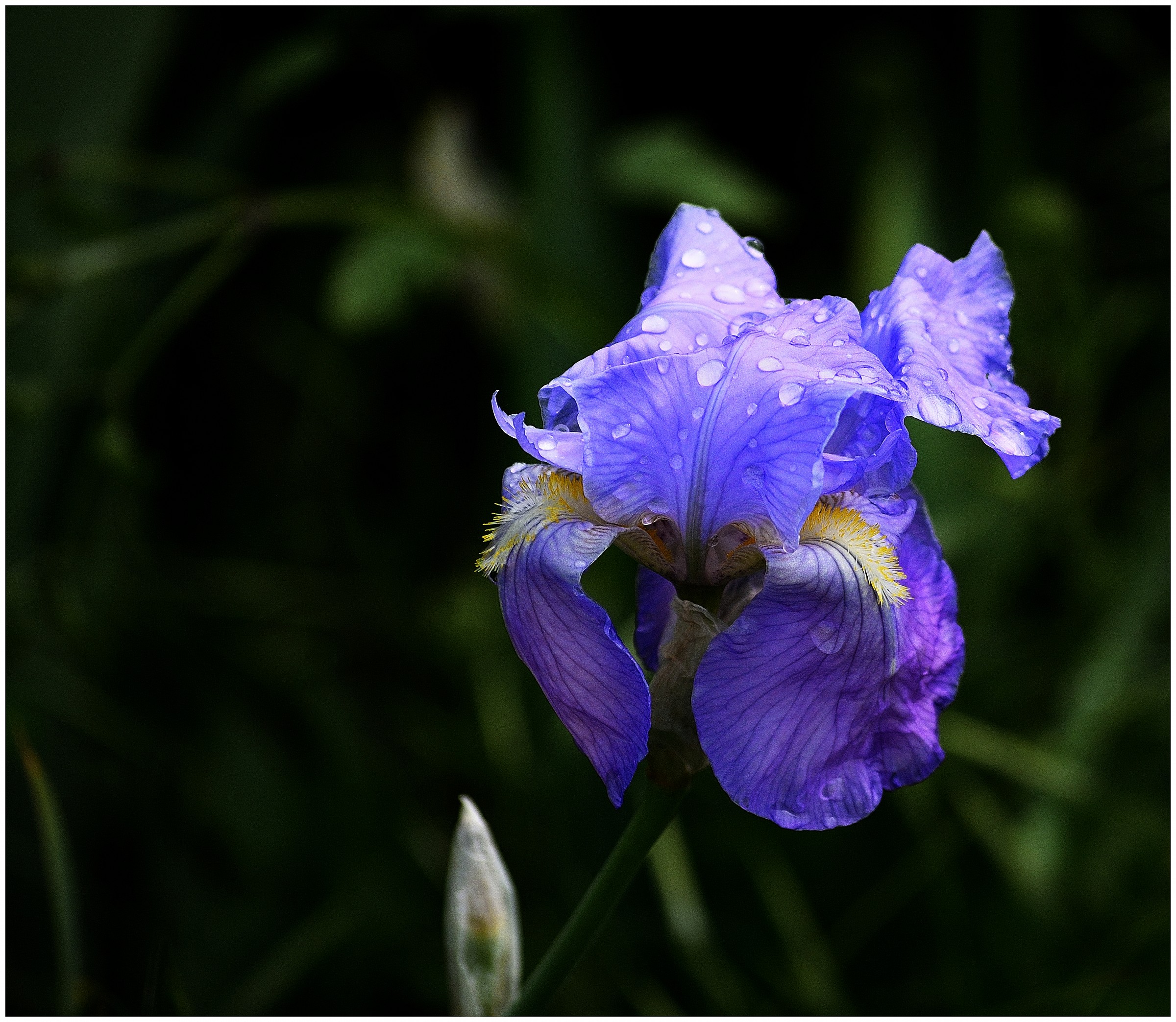 per qualche goccia in piu'