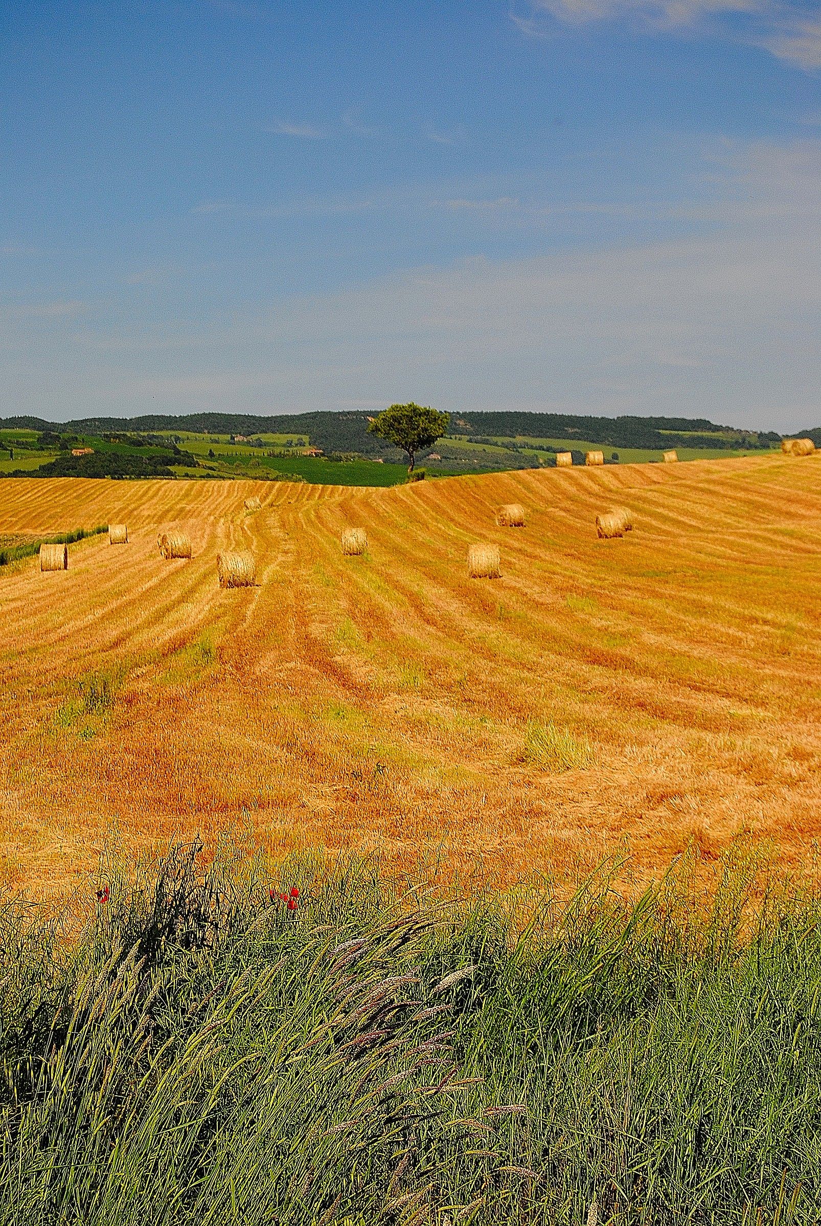 val d'orcia