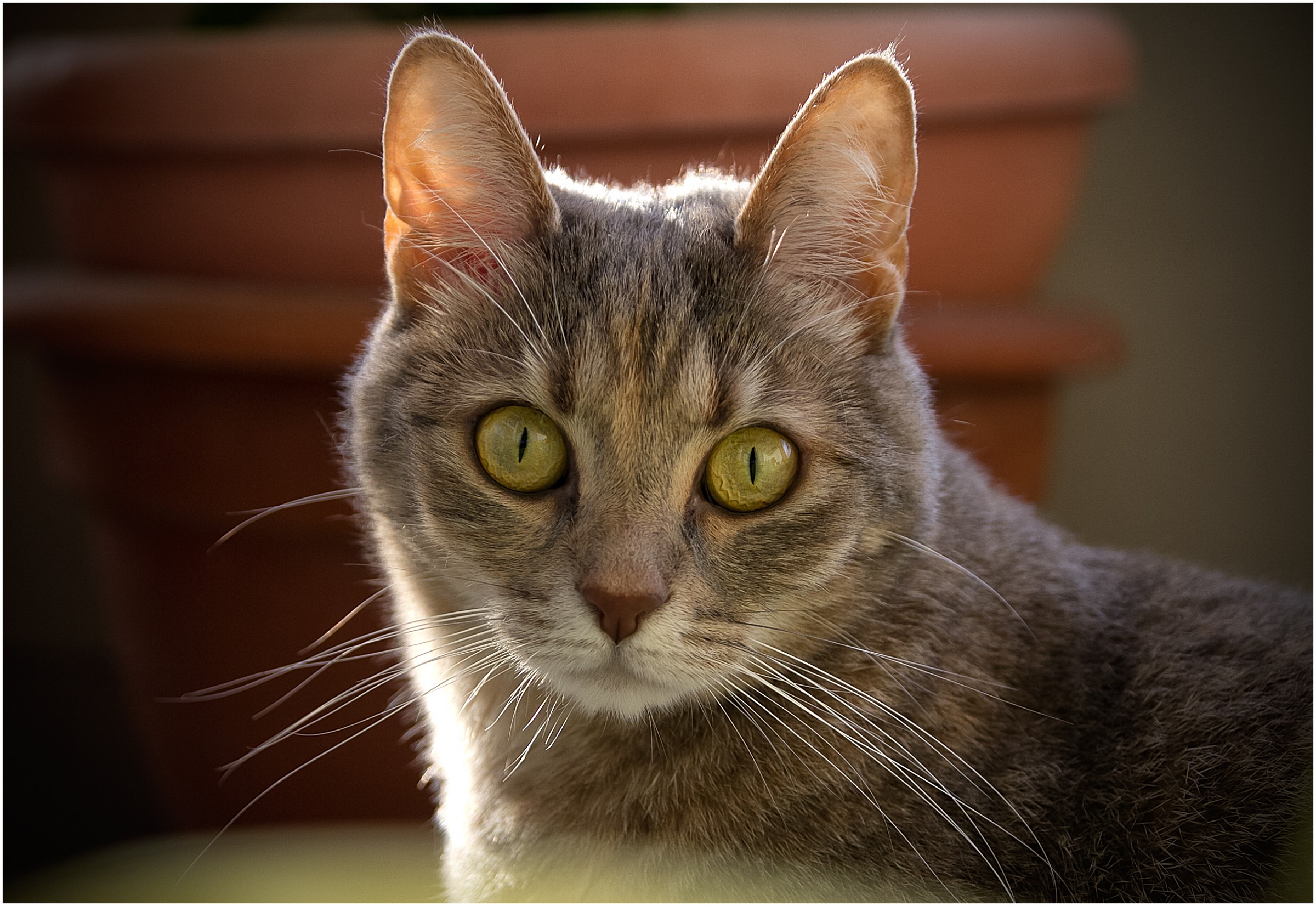 Clio ..... she always ....