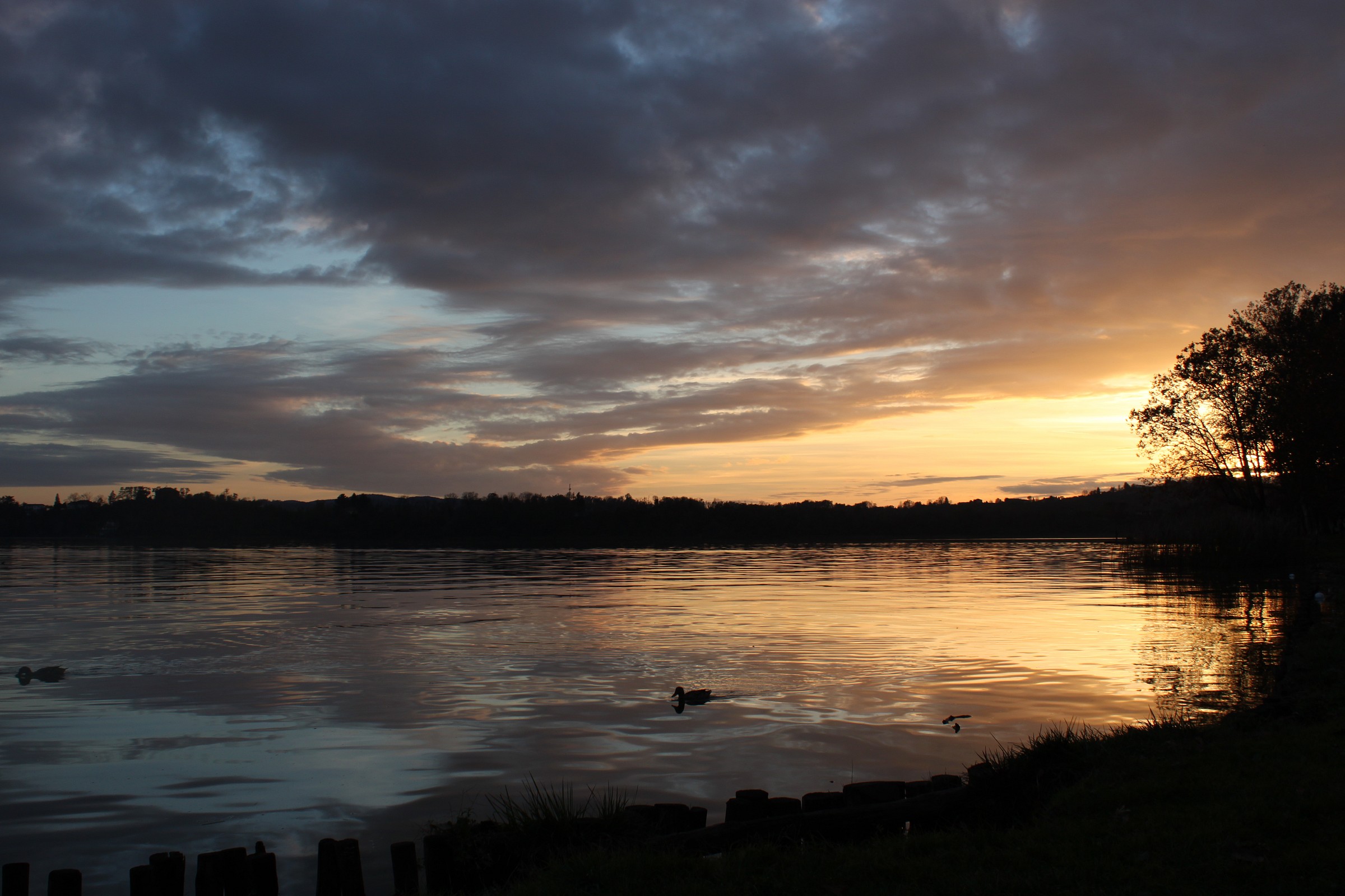 Sunset - lido di Gavirate