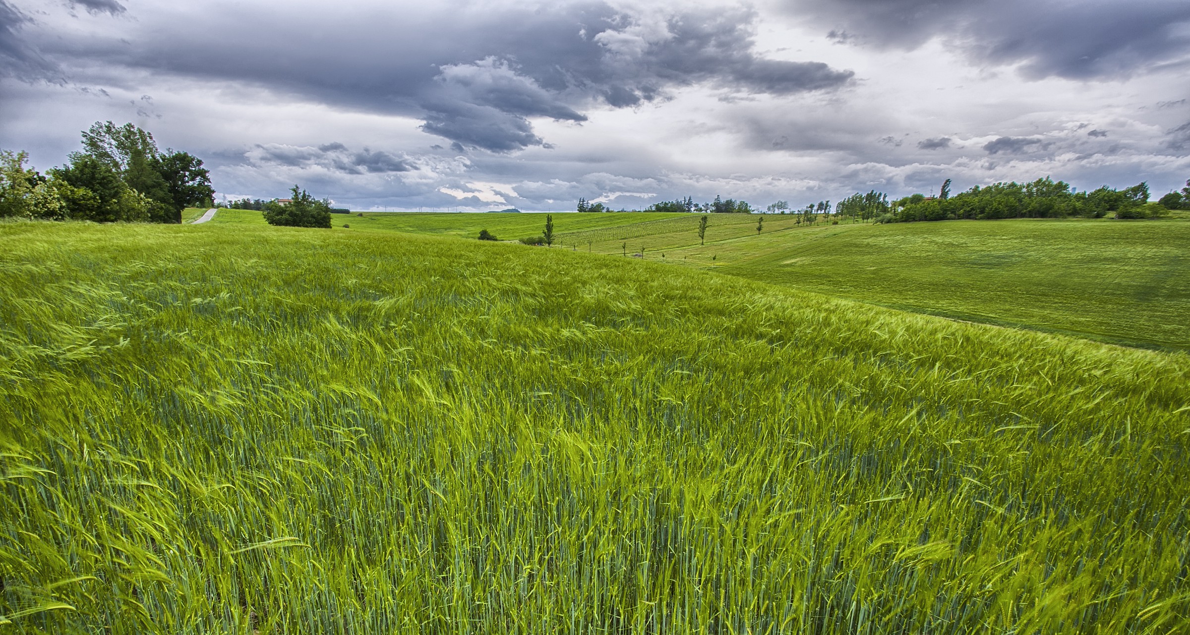 The sound of the wind in the wheat