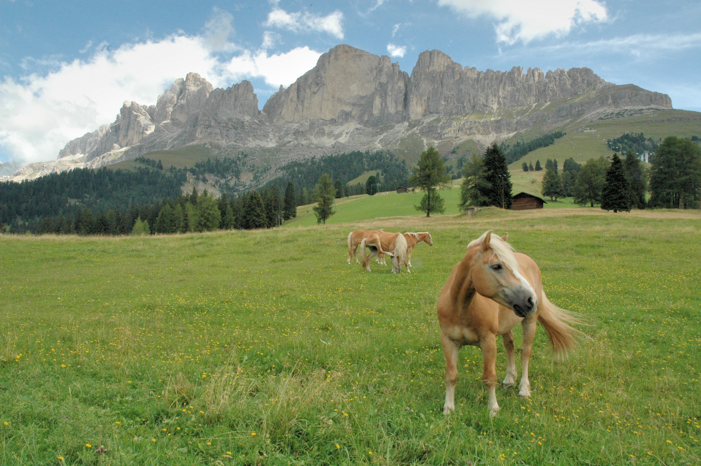 dolomites