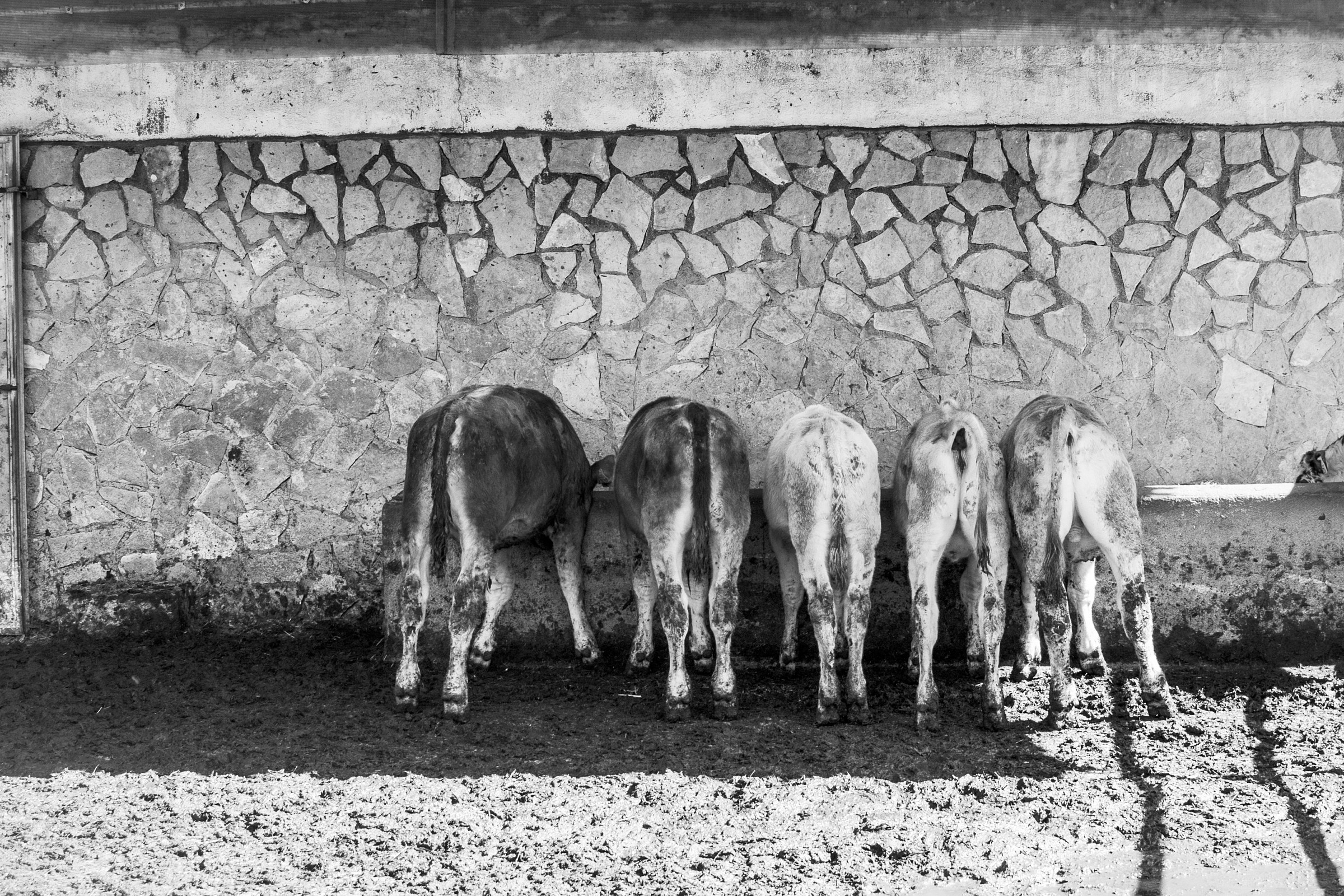 rude to turn your back