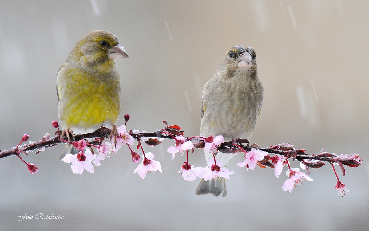 Lui e Lei...sotto i Pataras...