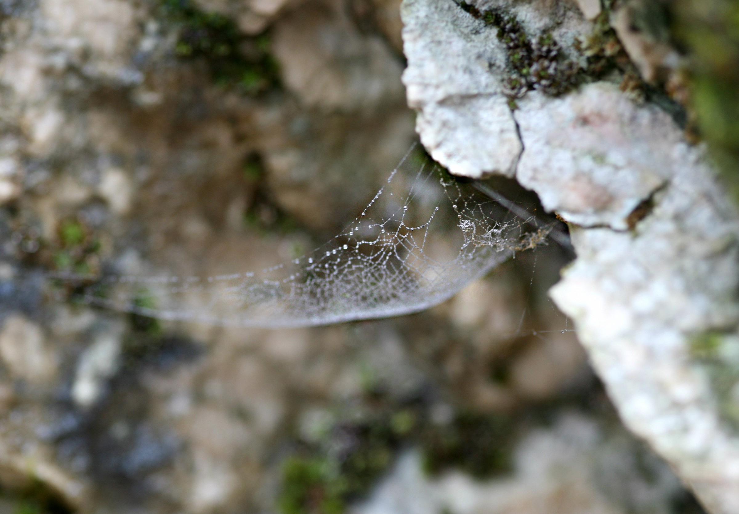 Meraviglie nascoste.