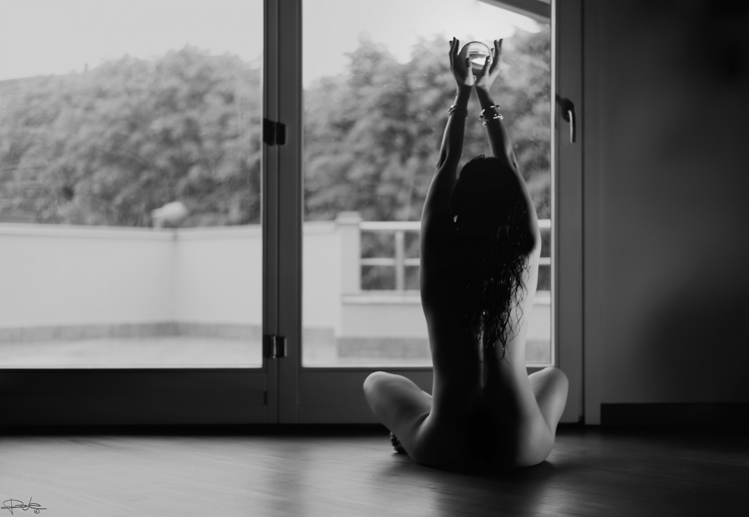 muse accomplice in ...