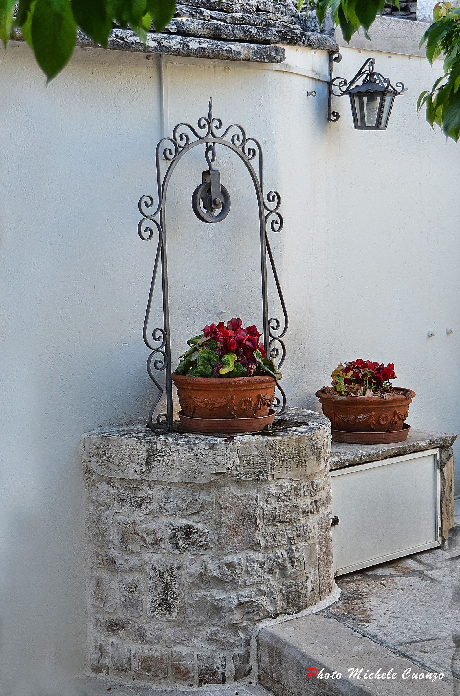 A well ... floral ...